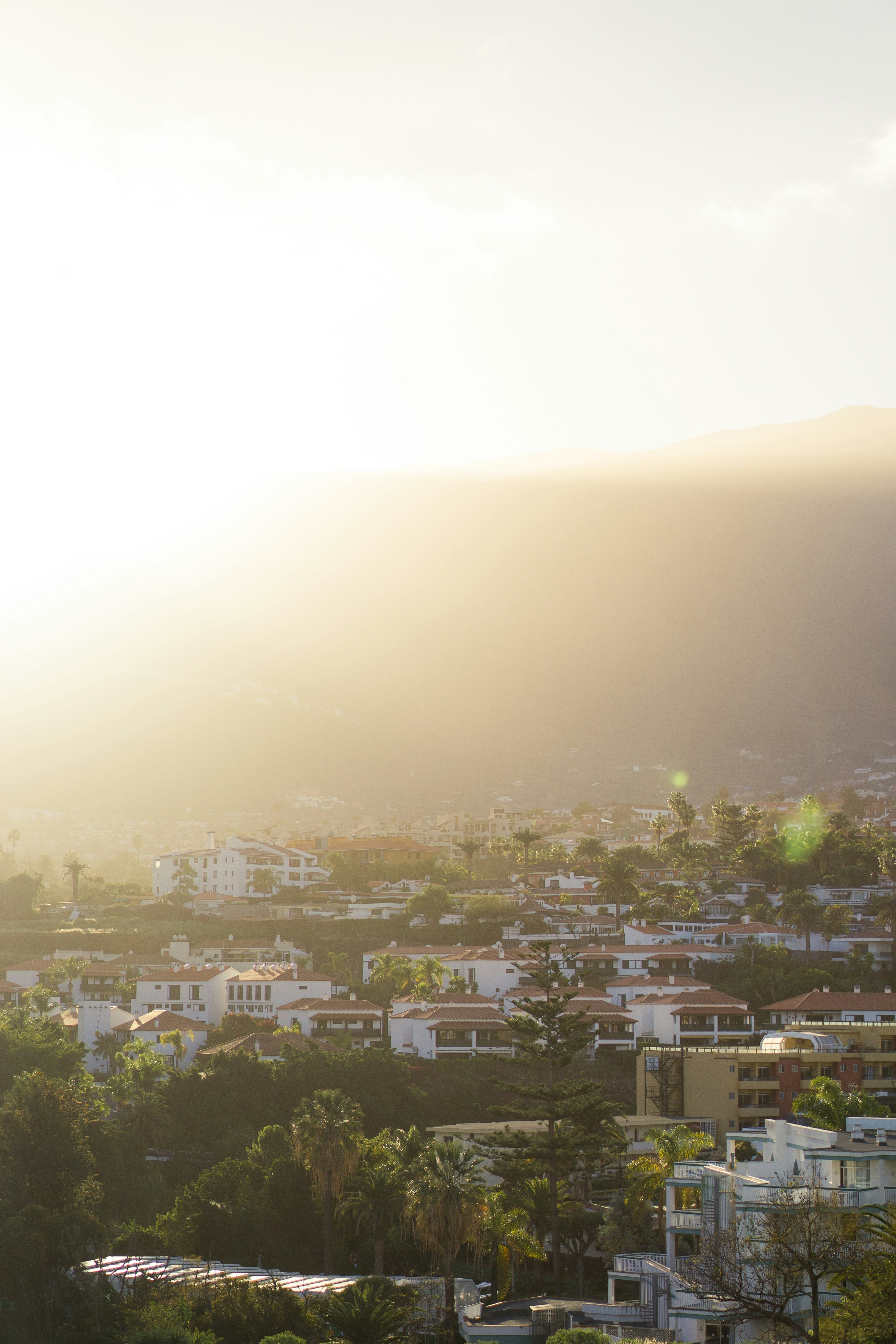 Photo by nikileander