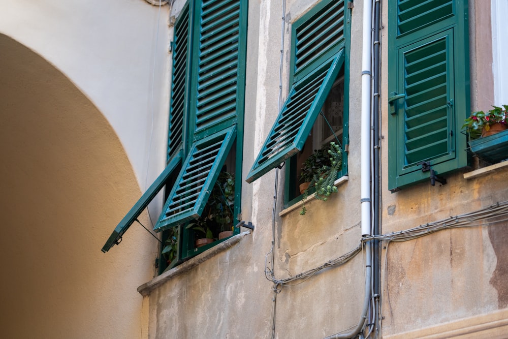 a couple of windows with green shutters on a building