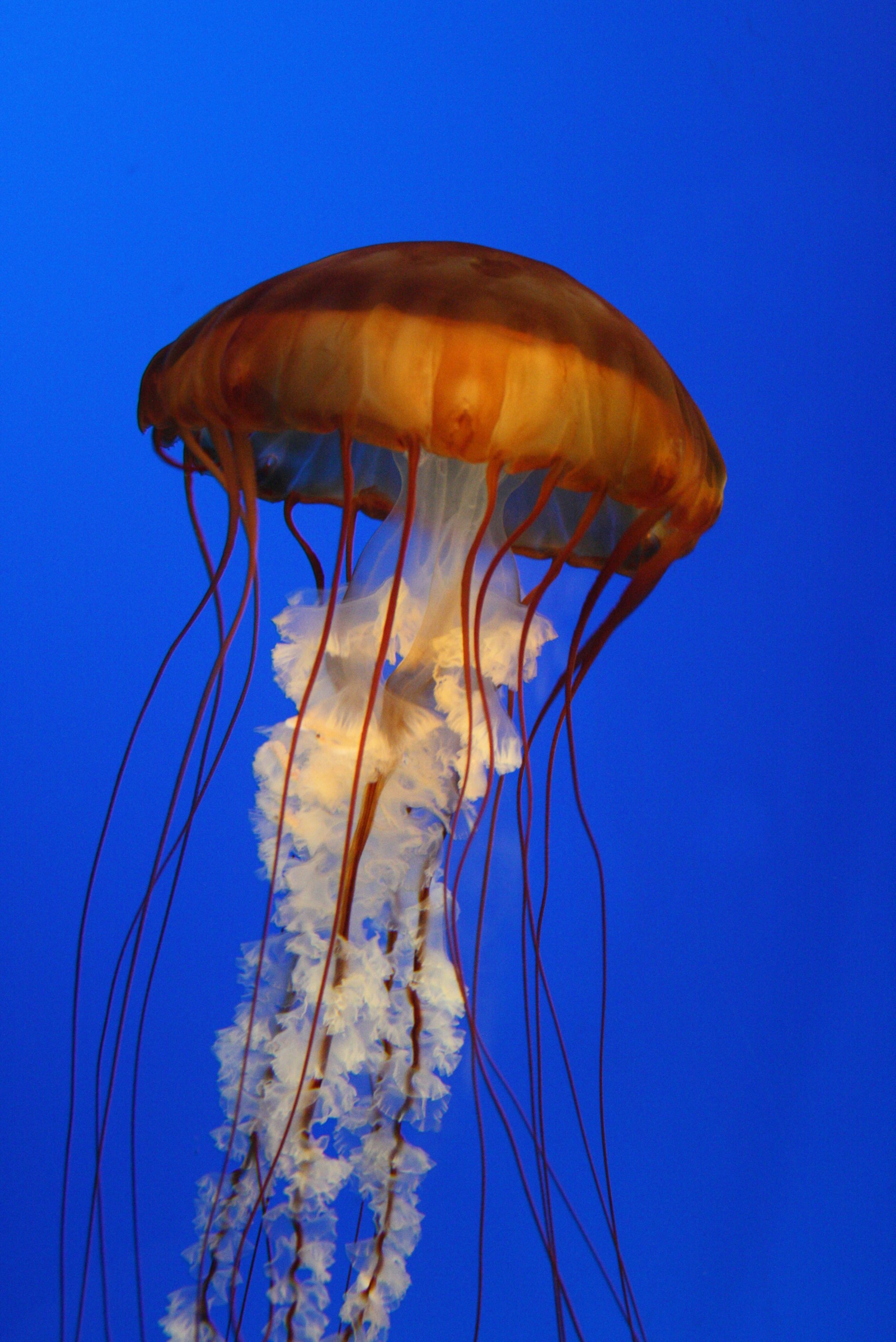 Photo by edenculture