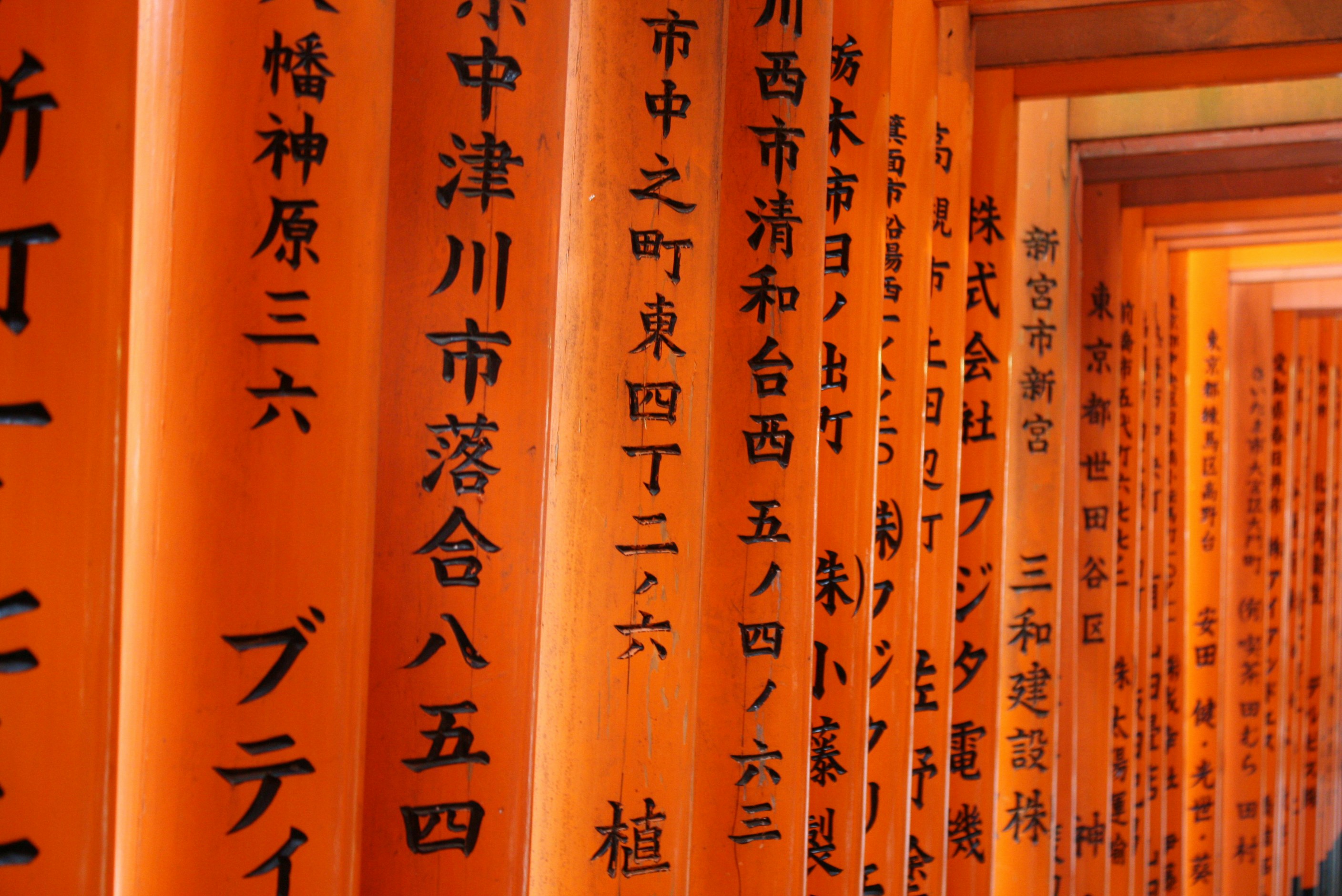 Photo by edenculture