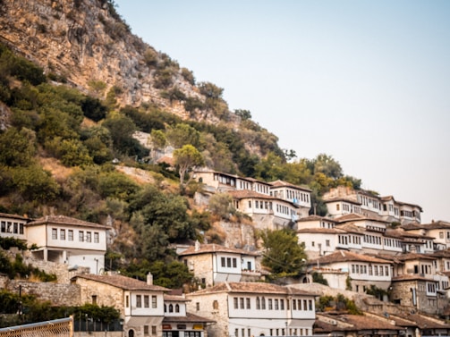 Traditional stone houses nestled among olive trees in Al-Mazar Al-Shamali.