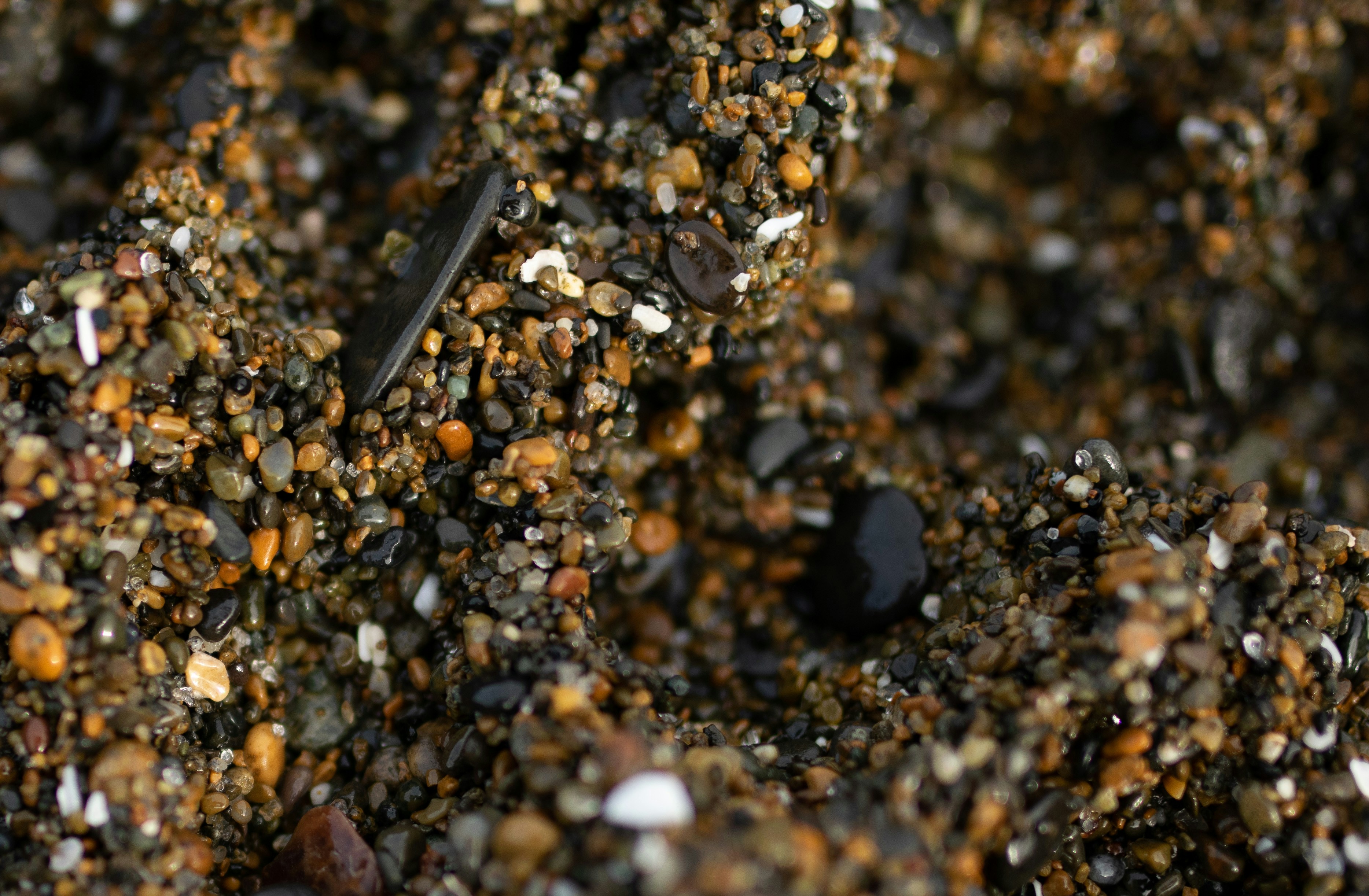 Photo by kathyryn_tripp