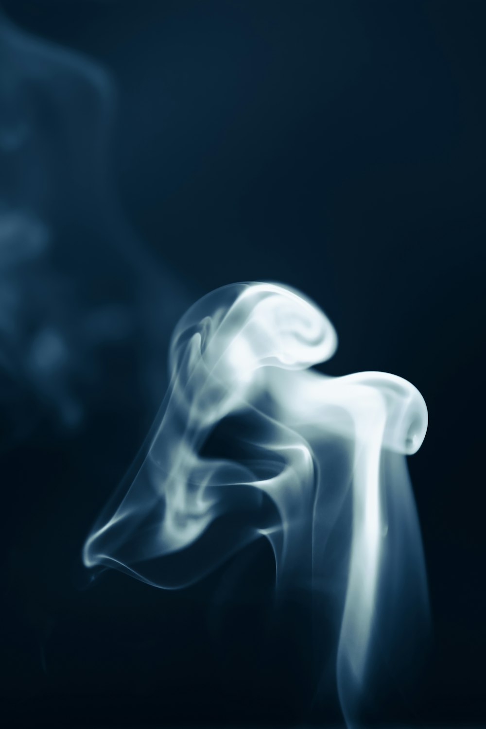 a blue smoke background with a blurry image of a dog's head