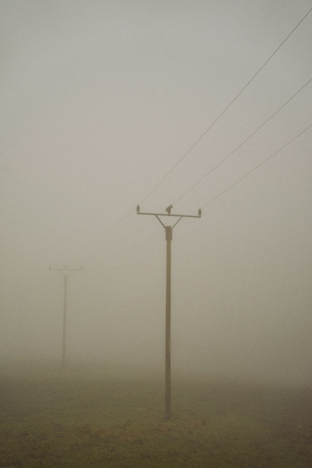 a foggy field with power lines and telephone poles