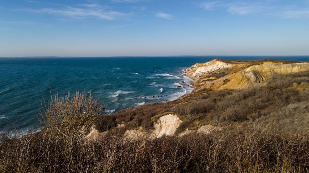 a view of the ocean from the top of a hill