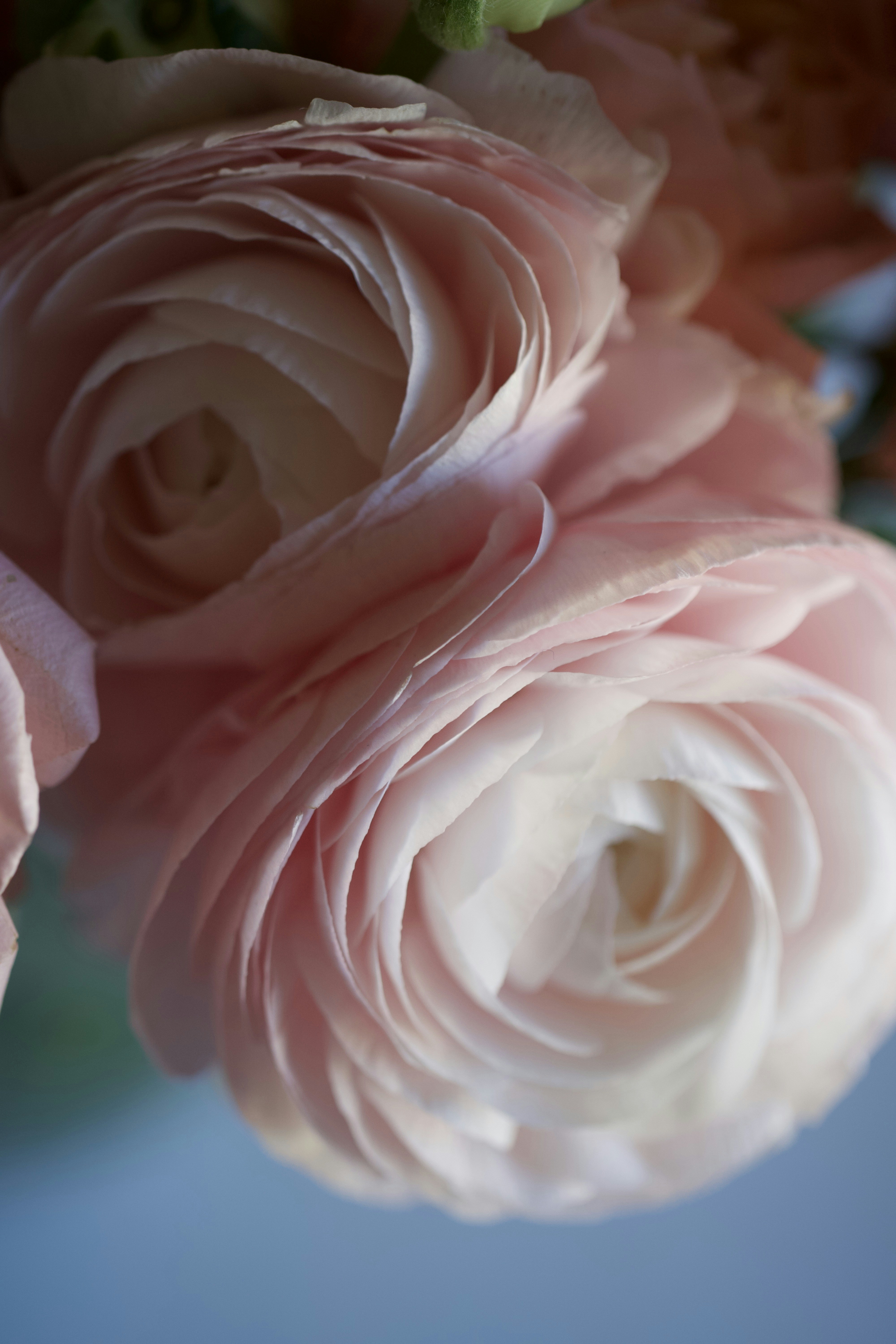 Photo by bukovskaya_i