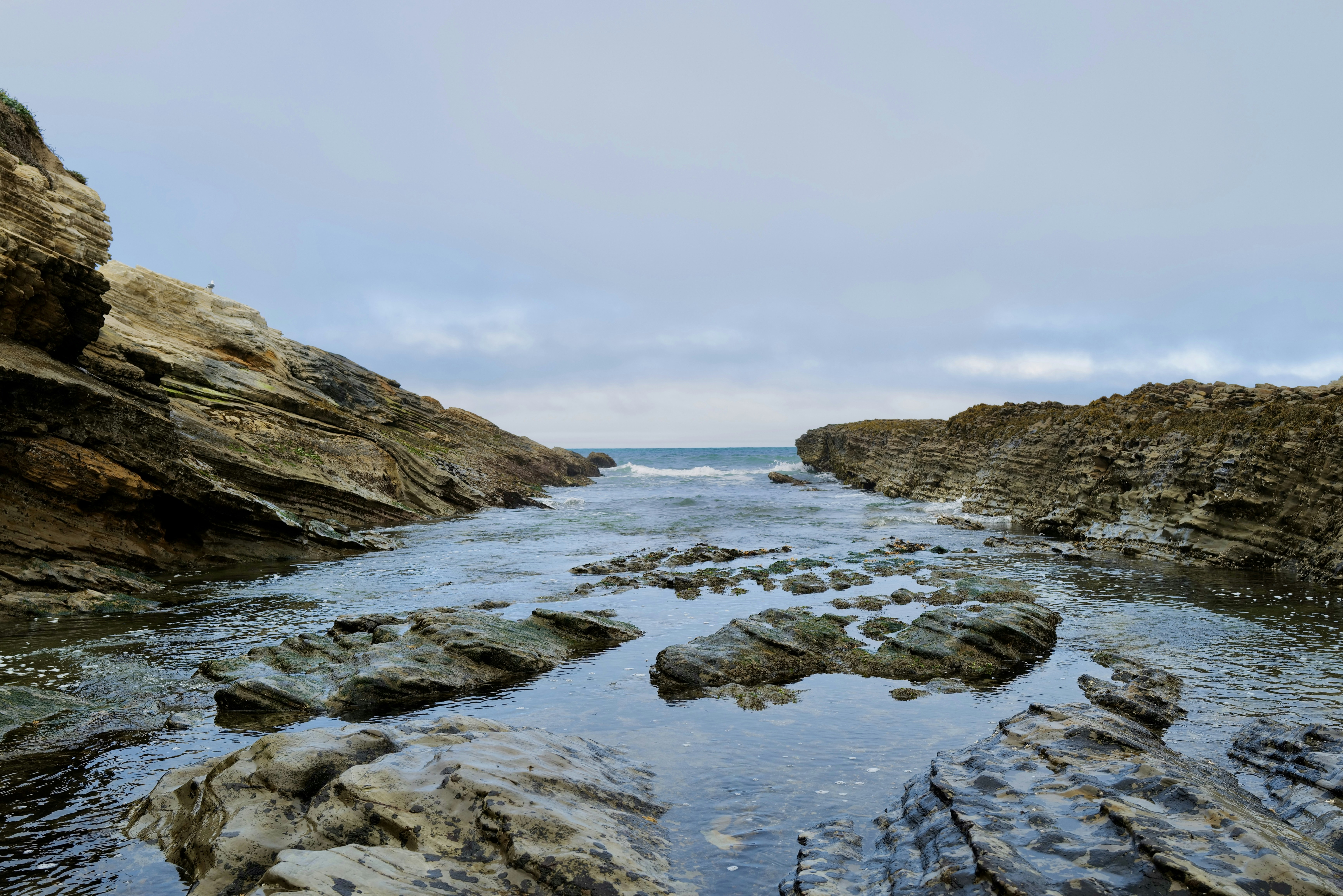 Photo by mostlycogent