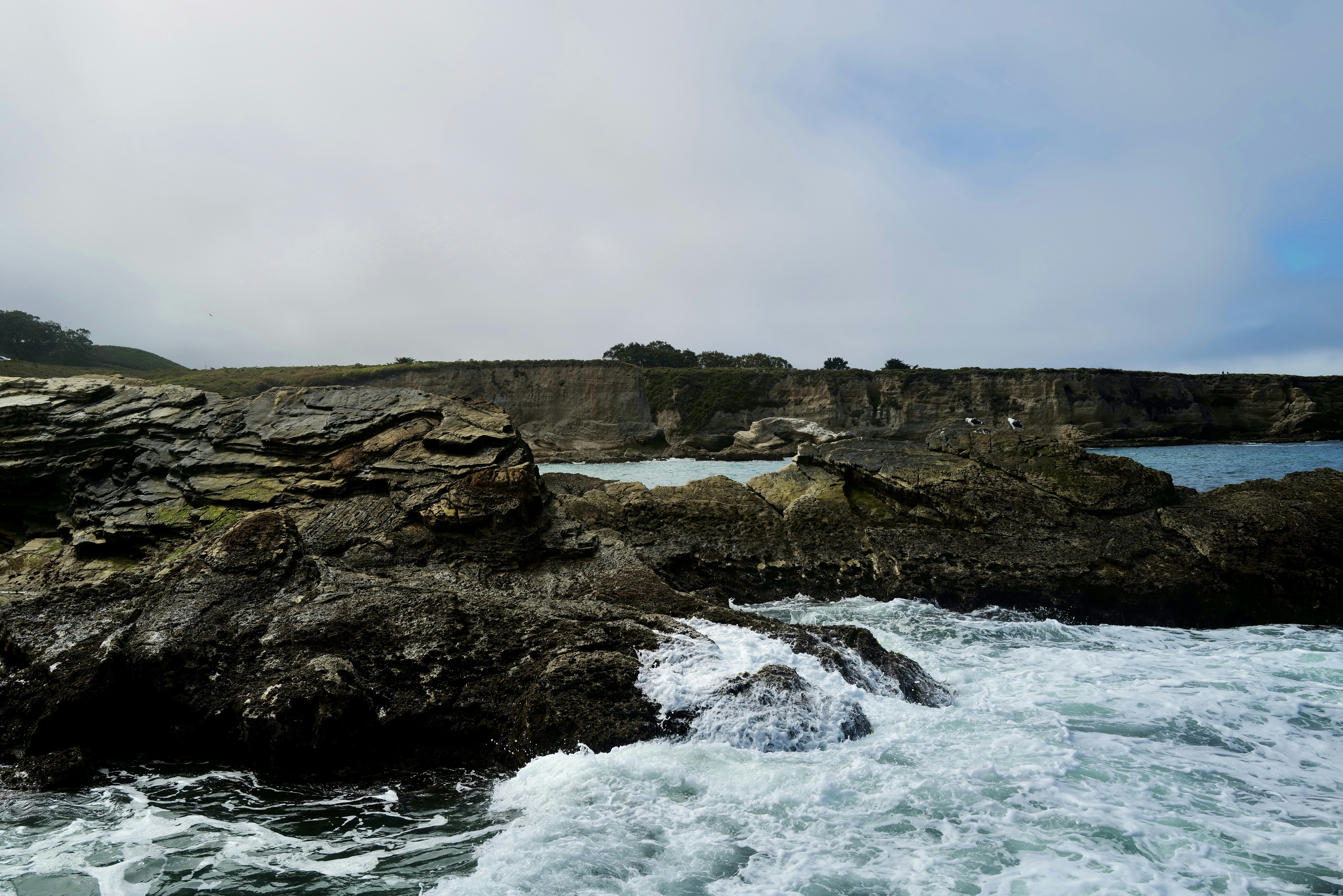 Photo by mostlycogent