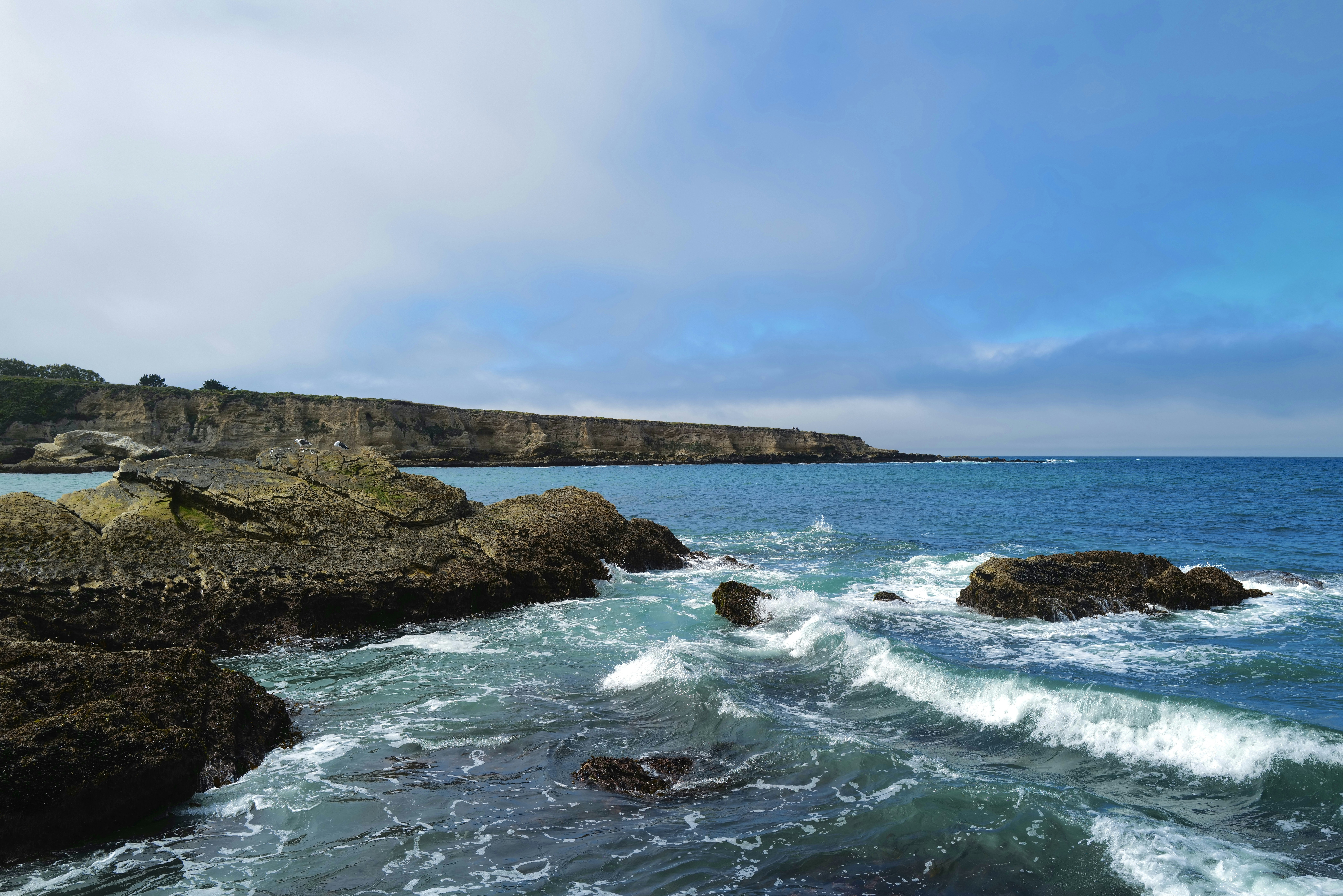 Photo by mostlycogent