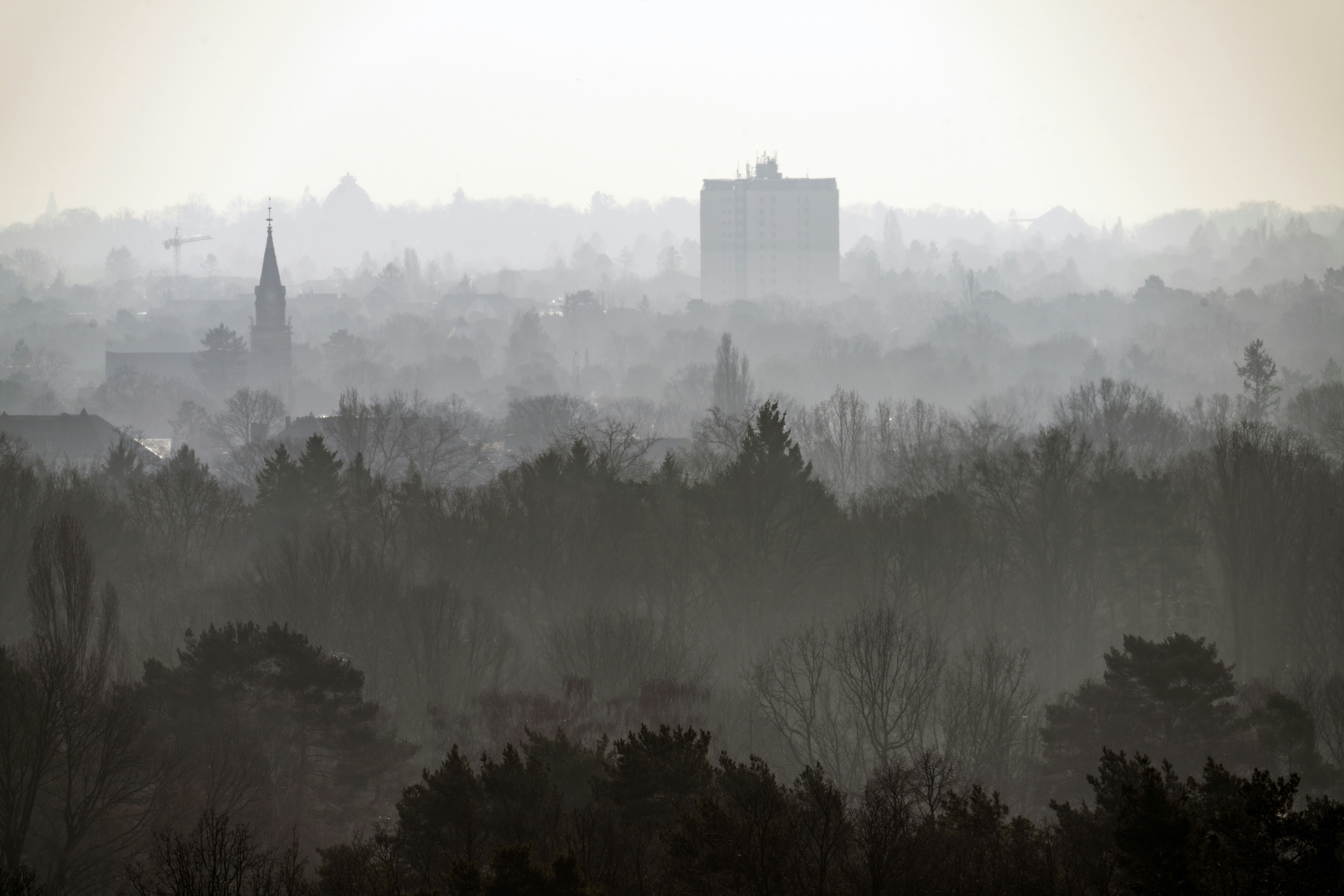 Photo by nilsschirmer