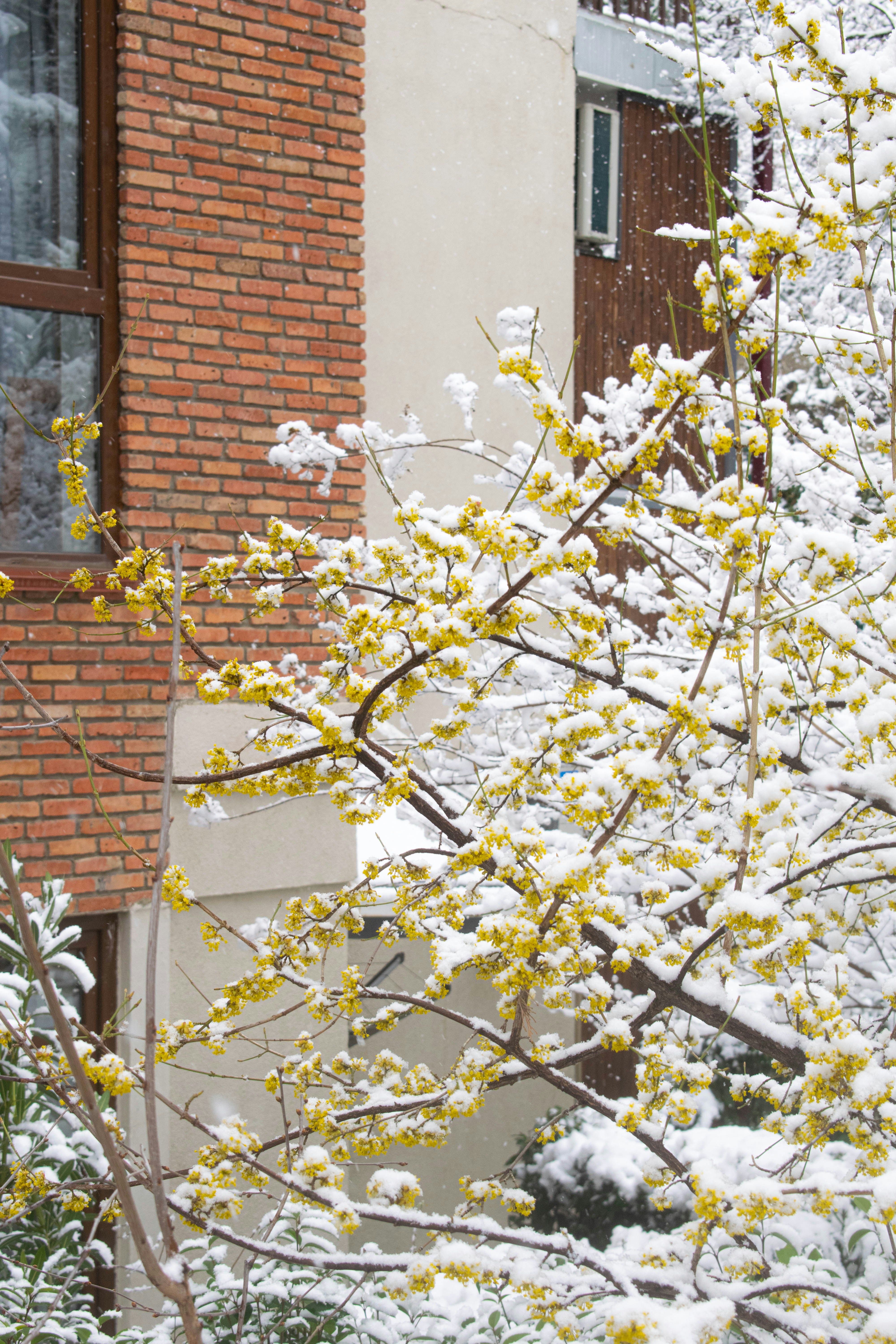 Photo by alexandre13