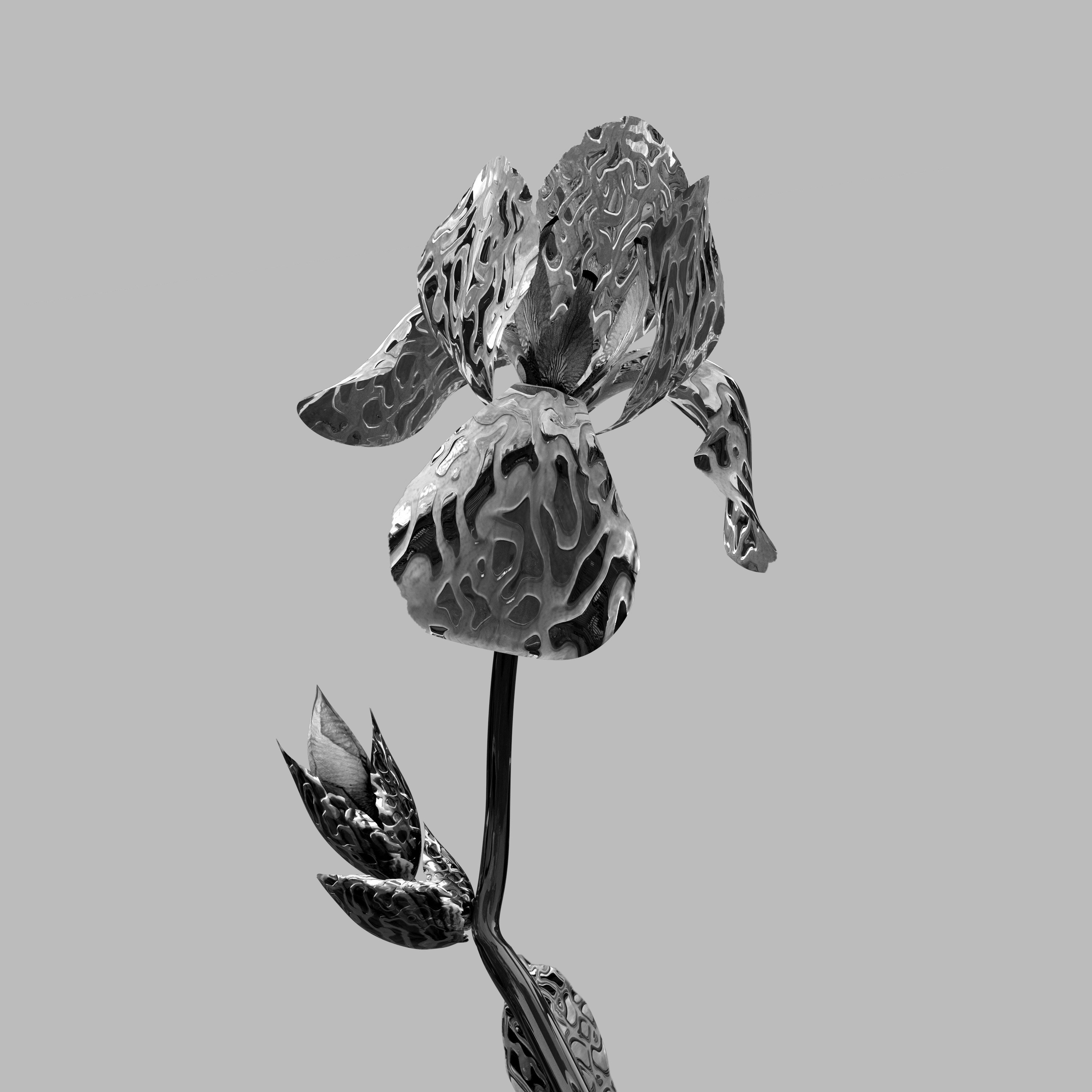 Photo by fauxhealler