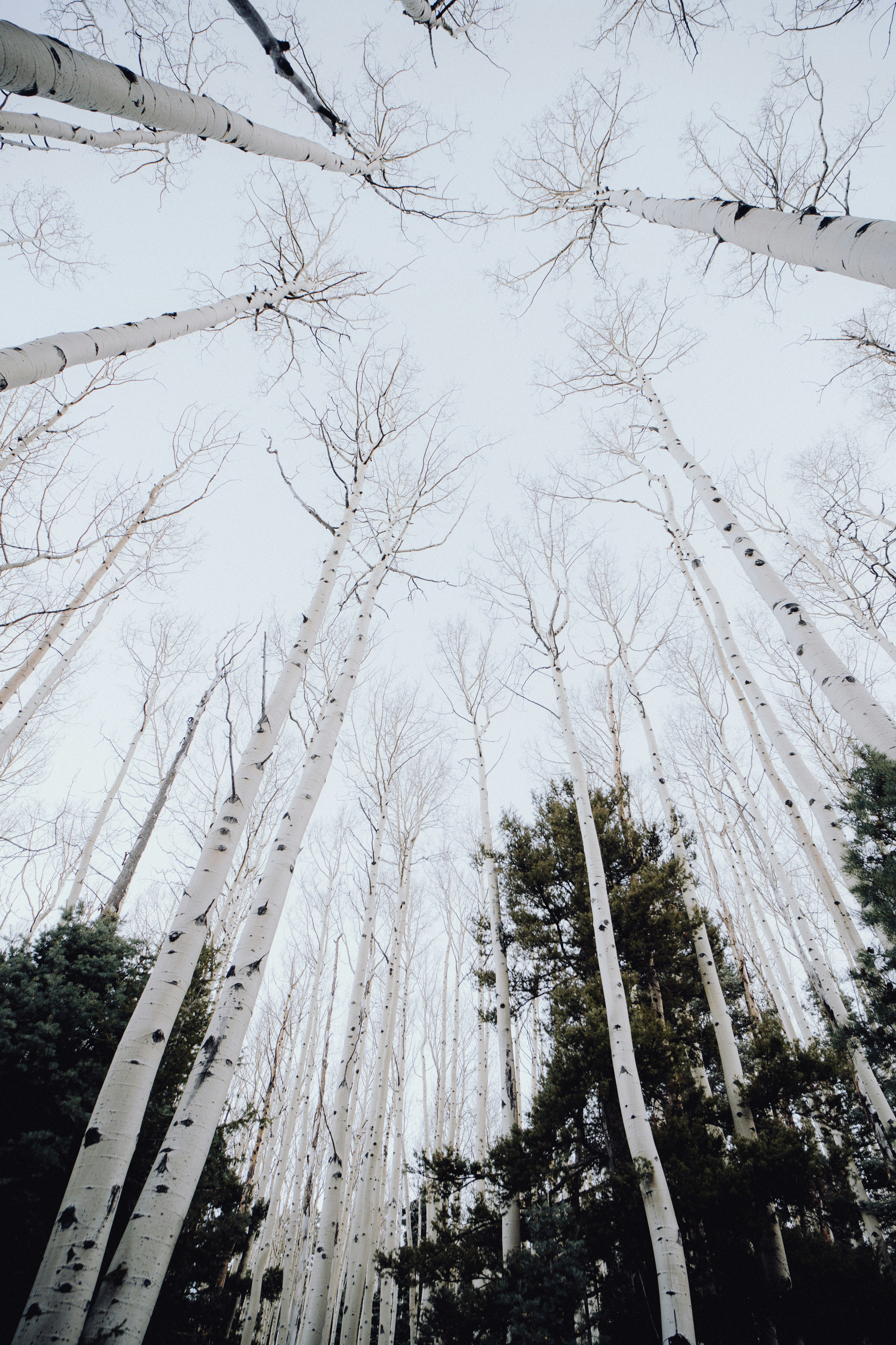 Photo by baileyal3xander