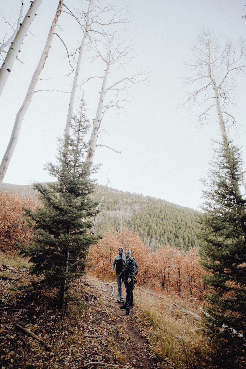 a couple of people that are walking down a trail