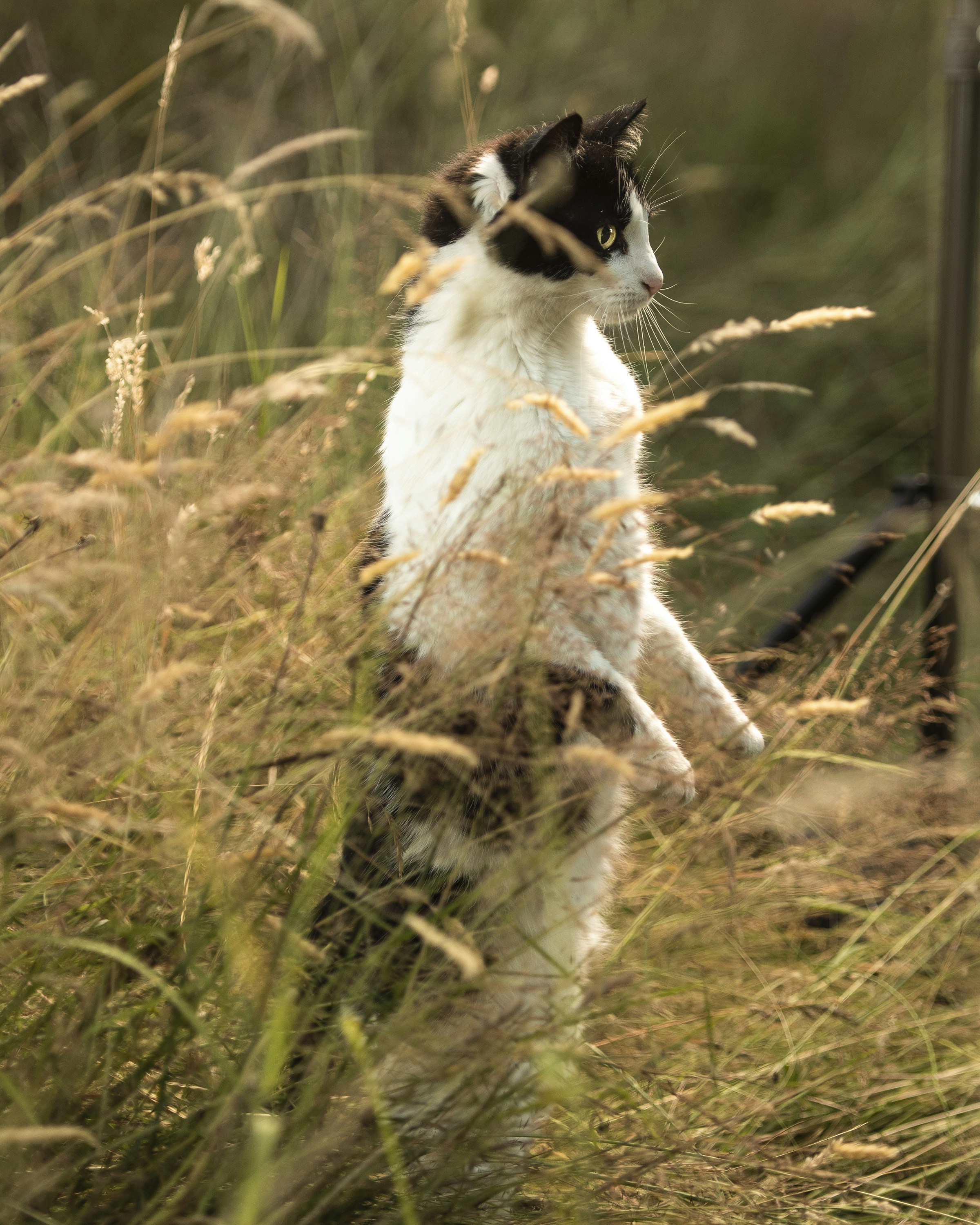 Photo by registered1972