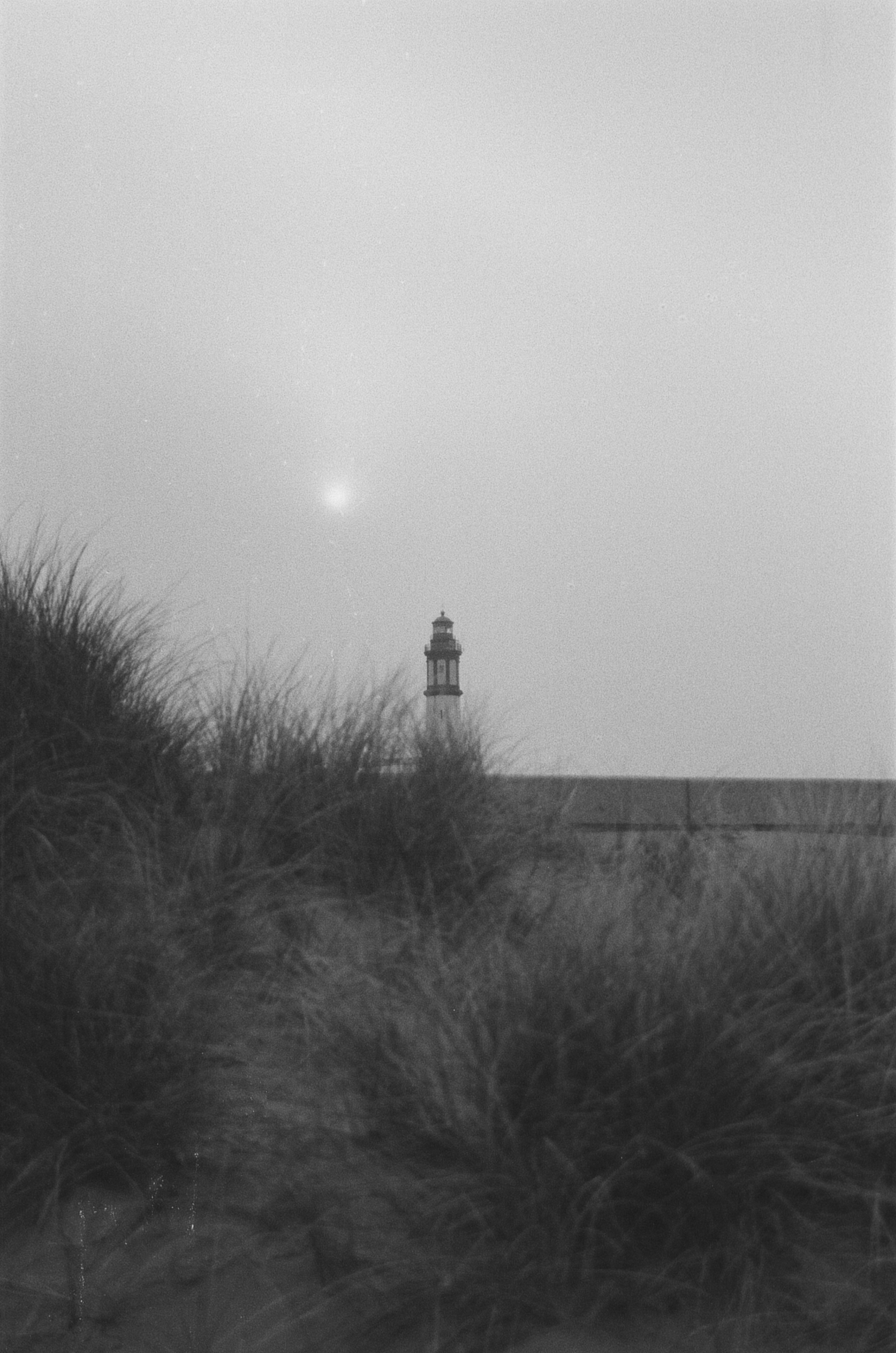 Photo by matreding