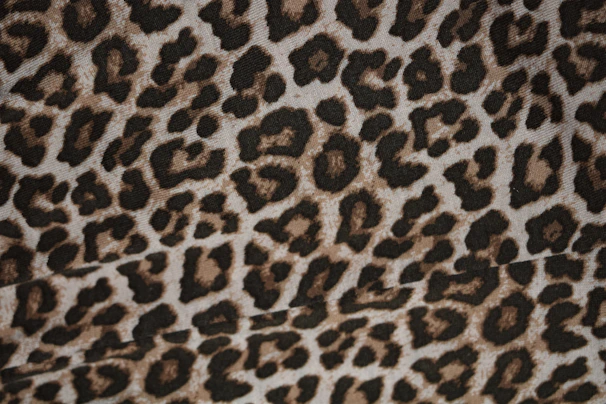 Close-up of soft, organic cotton fabric with colorful animal prints from Ludora's latest collection.
