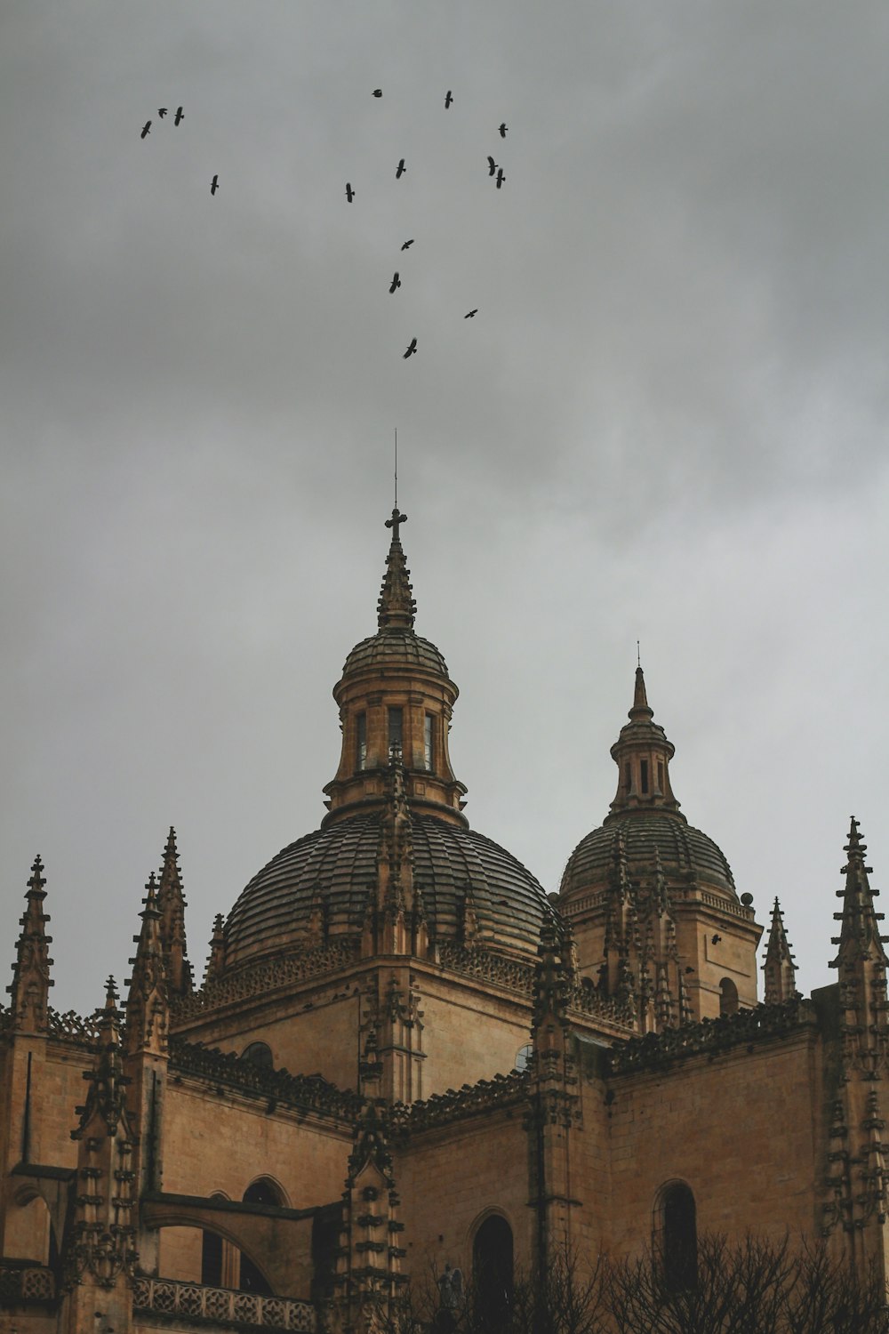 a group of birds flying over a building