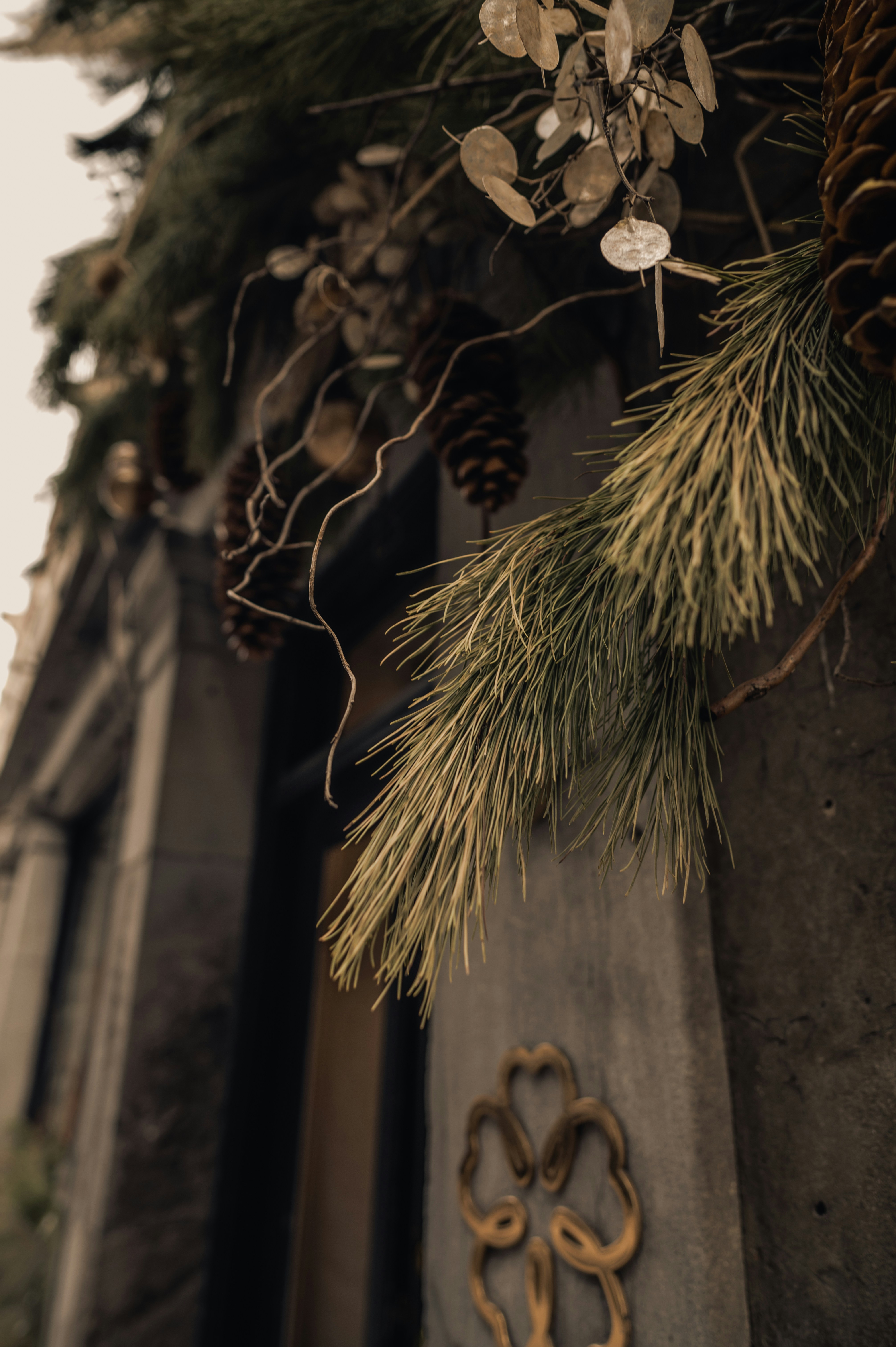 Photo by ryunosuke_kikuno