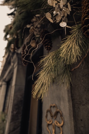 Pine branches and cones are elegantly arranged against a stone building adorned with a decorative metal ornament. The scene conveys a rustic and natural aesthetic, with dried flowers and twisted branches adding texture. Soft light casts a warm tone, enhancing the organic elements.