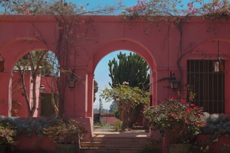 a pink building with a bunch of plants on the outside