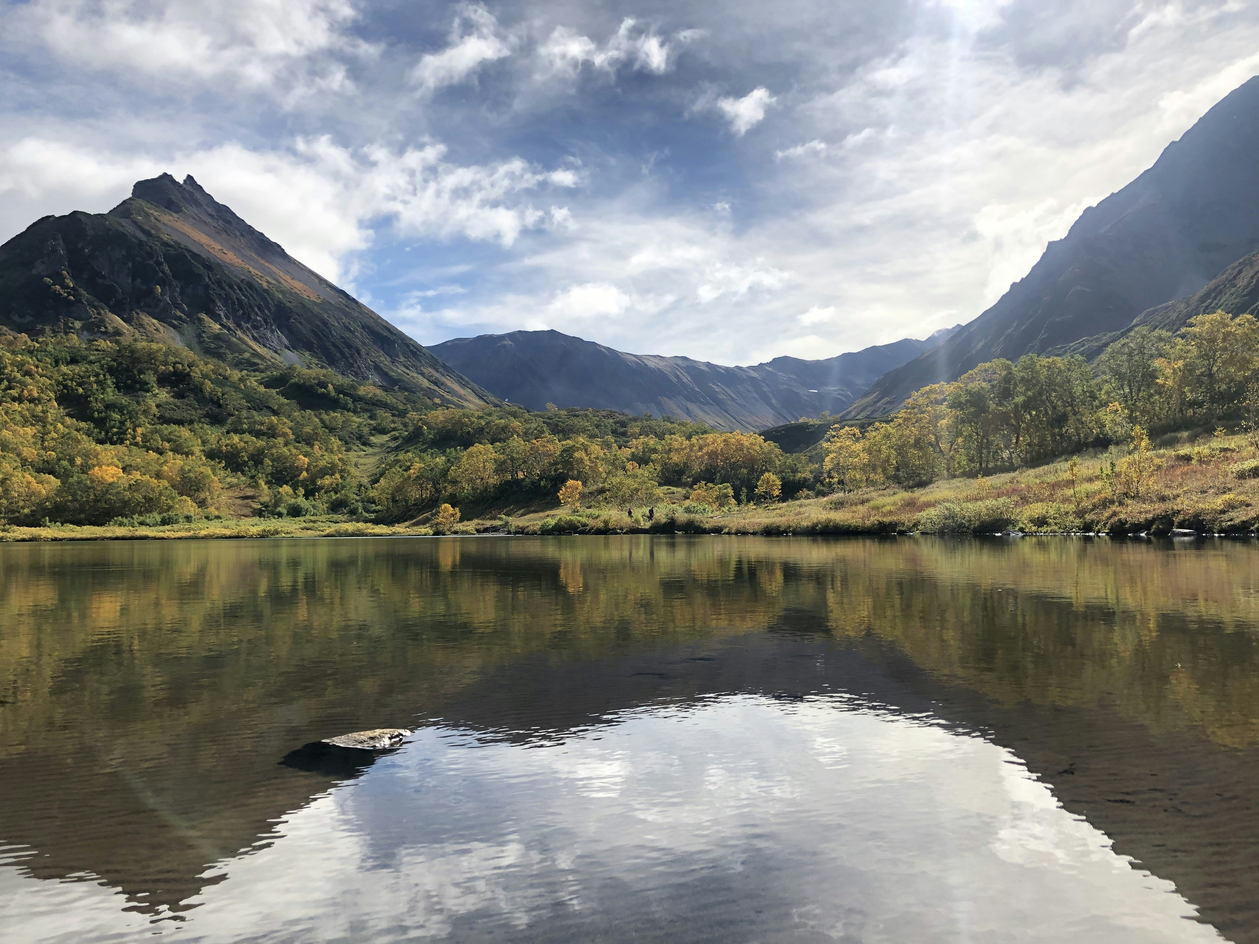 Photo by alinapigareva