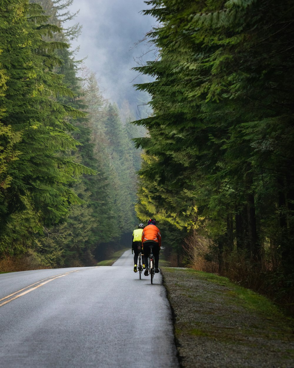 two bicyclists riding down a road in the woods