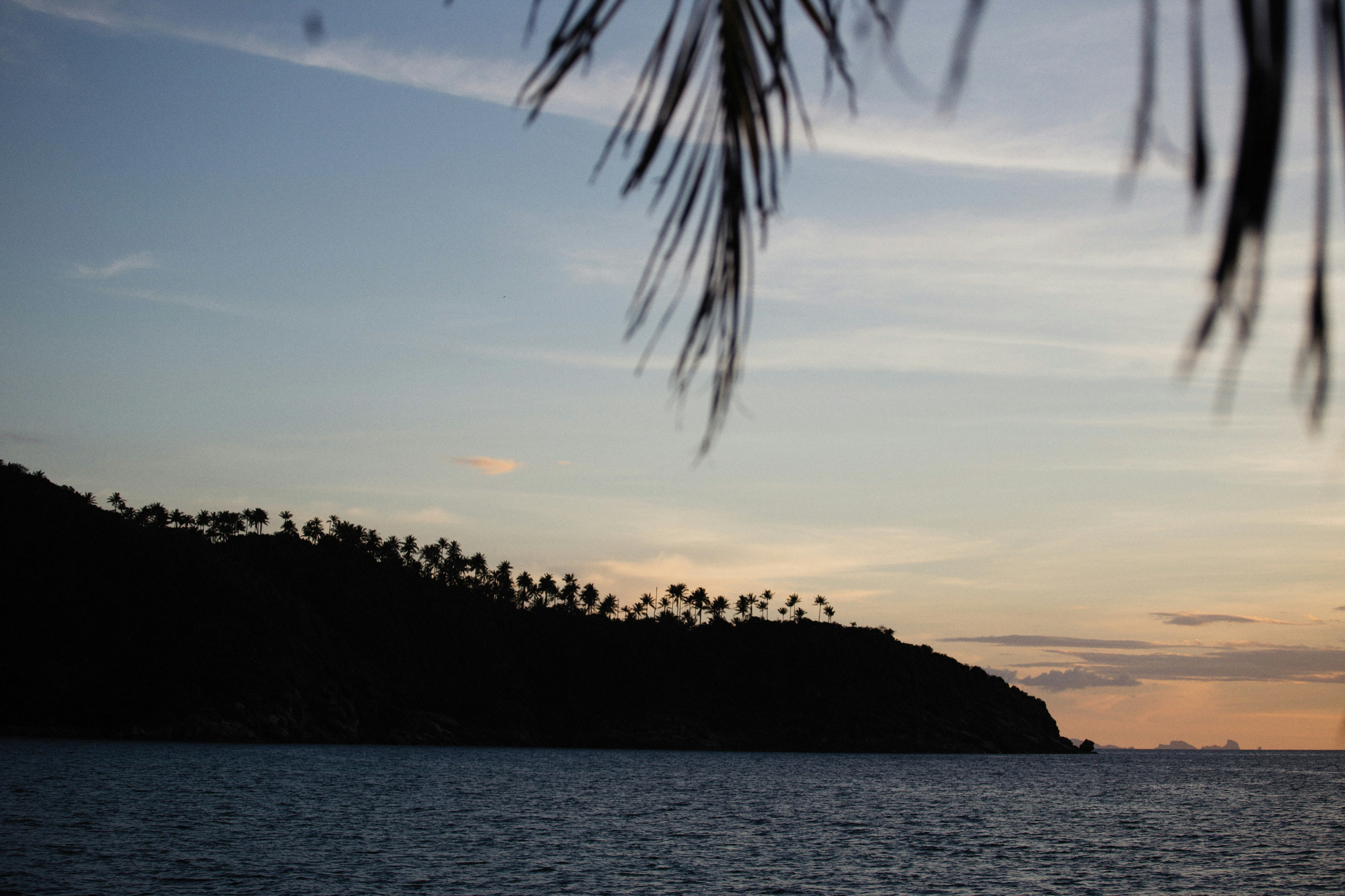 Photo by alexeydemidov