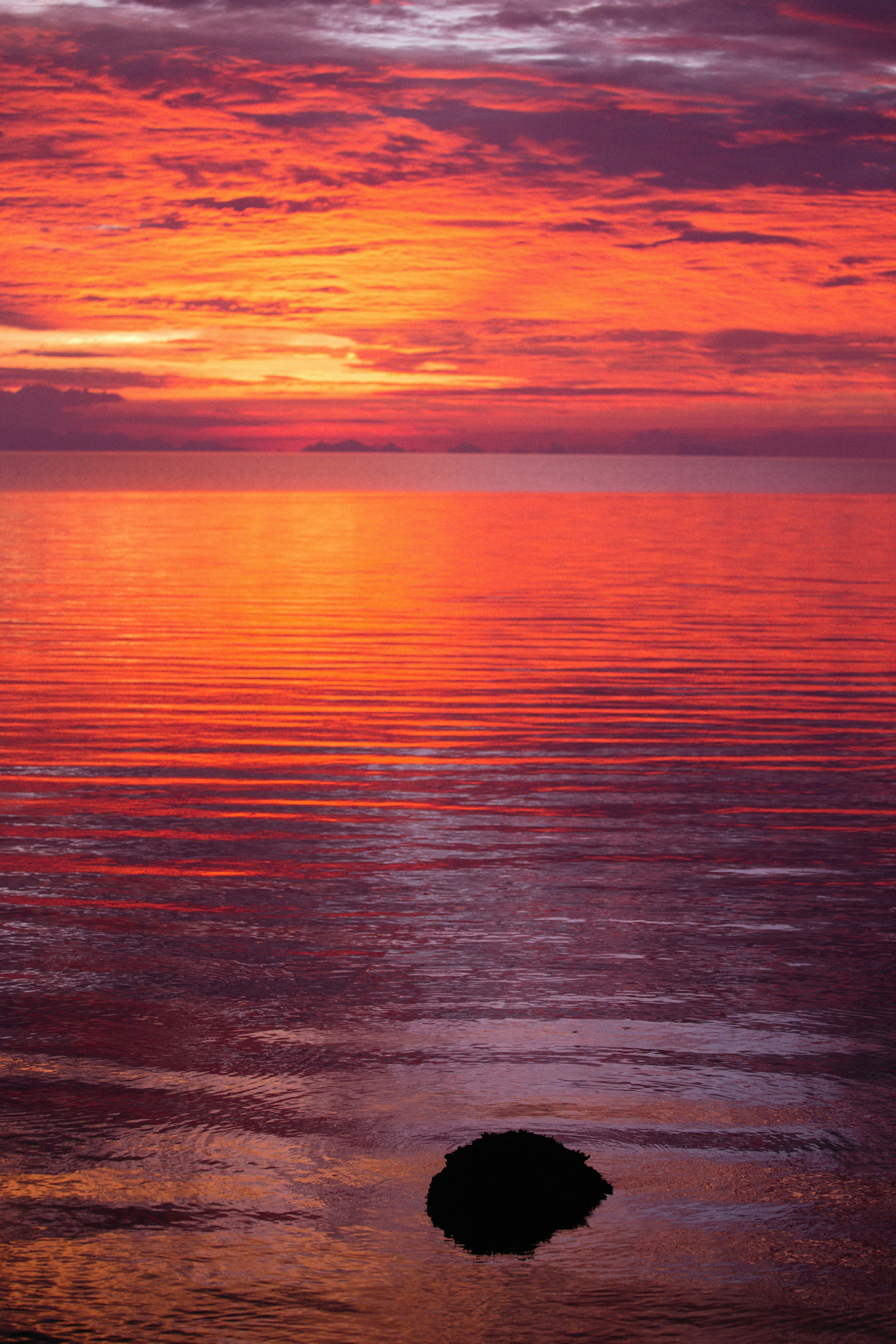 Photo by alexeydemidov