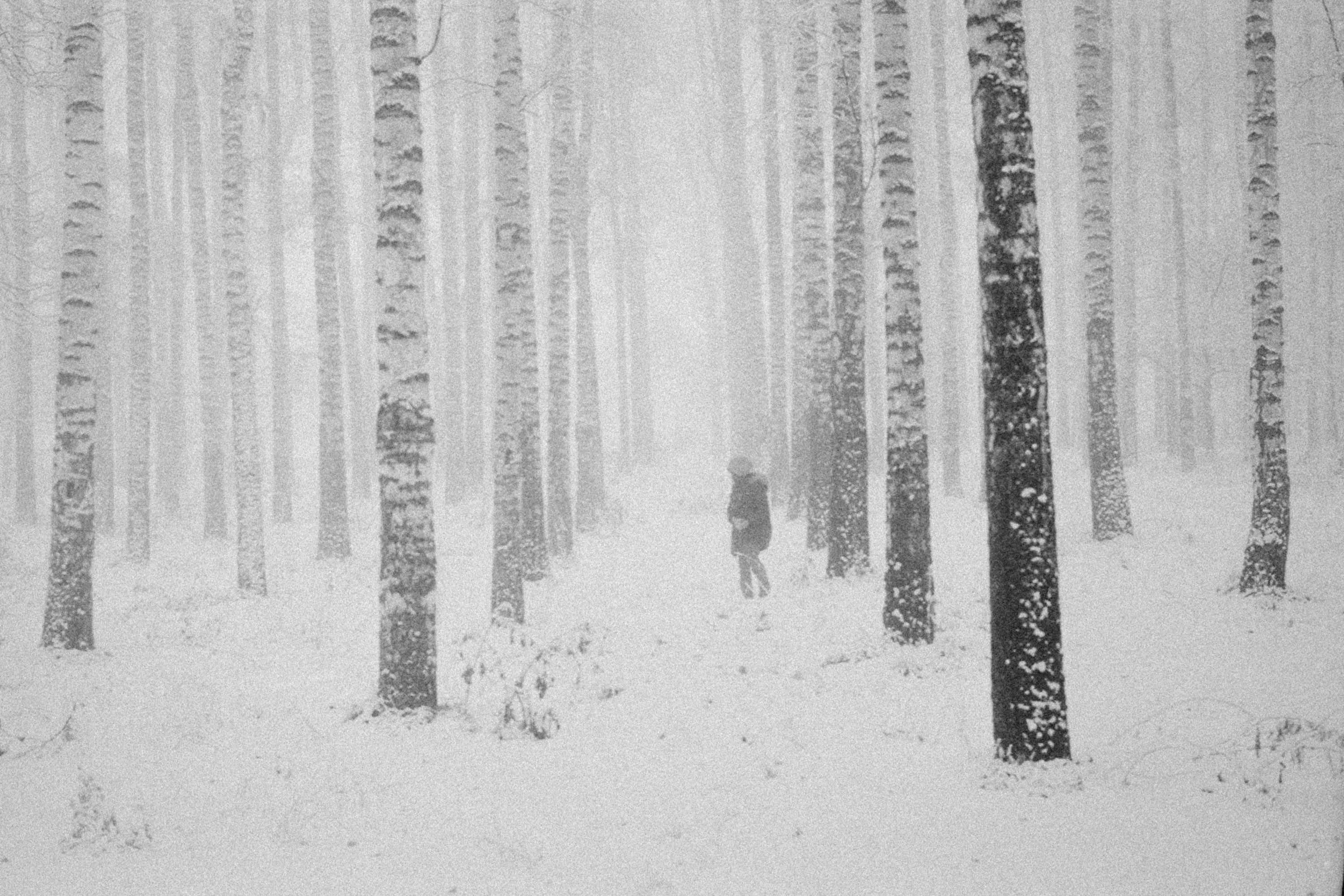 Photo by alexeydemidov