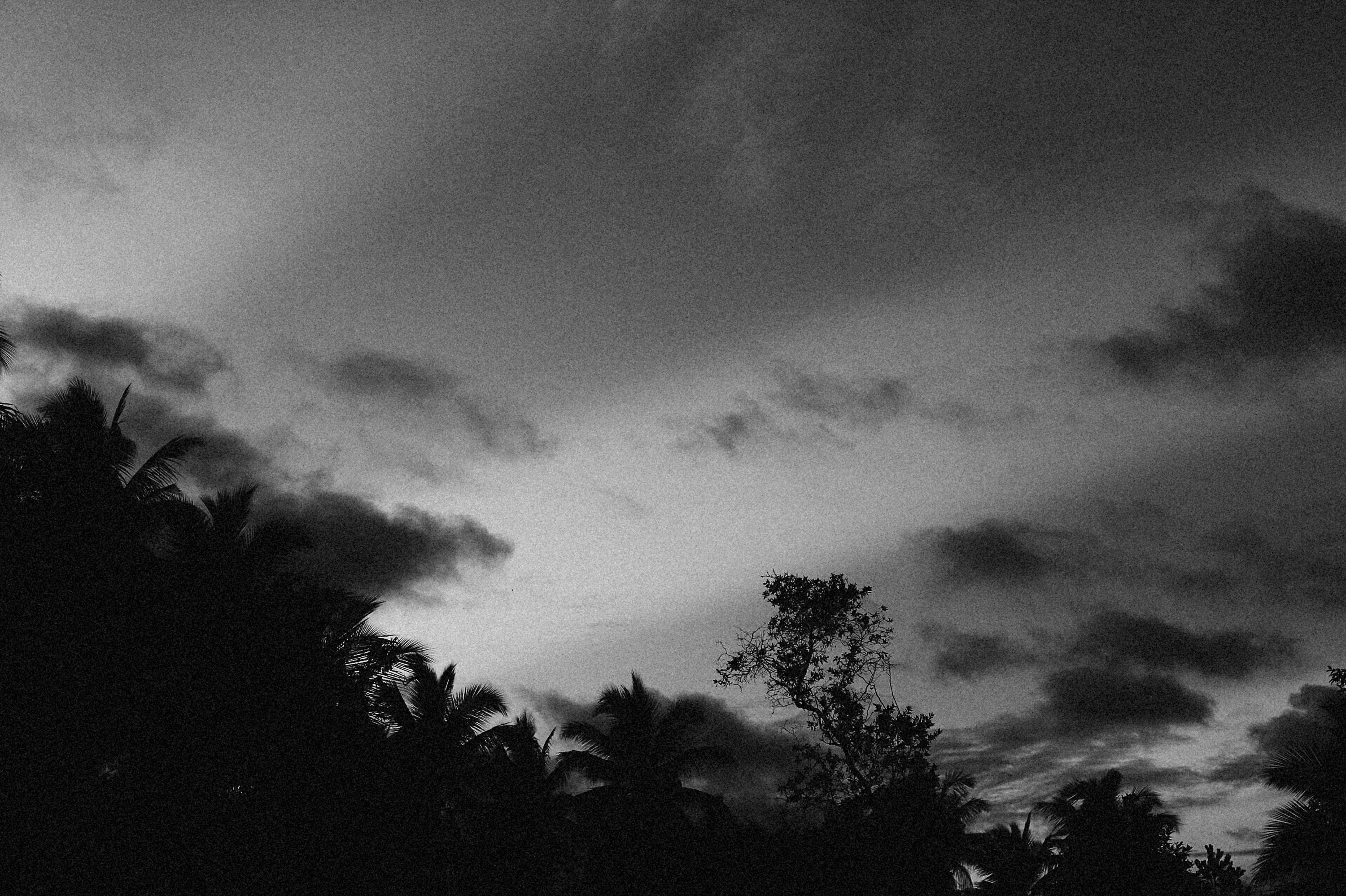 Photo by alexeydemidov