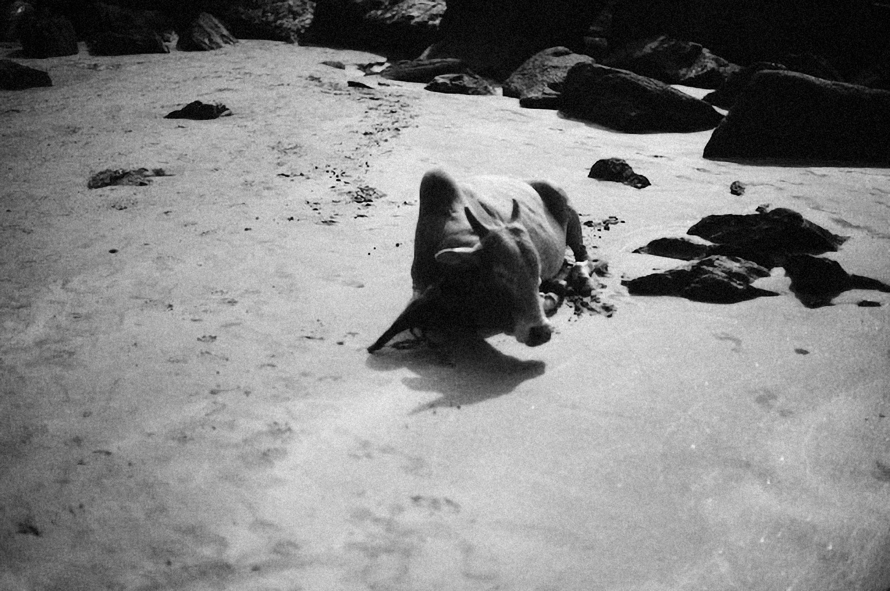 Photo by alexeydemidov