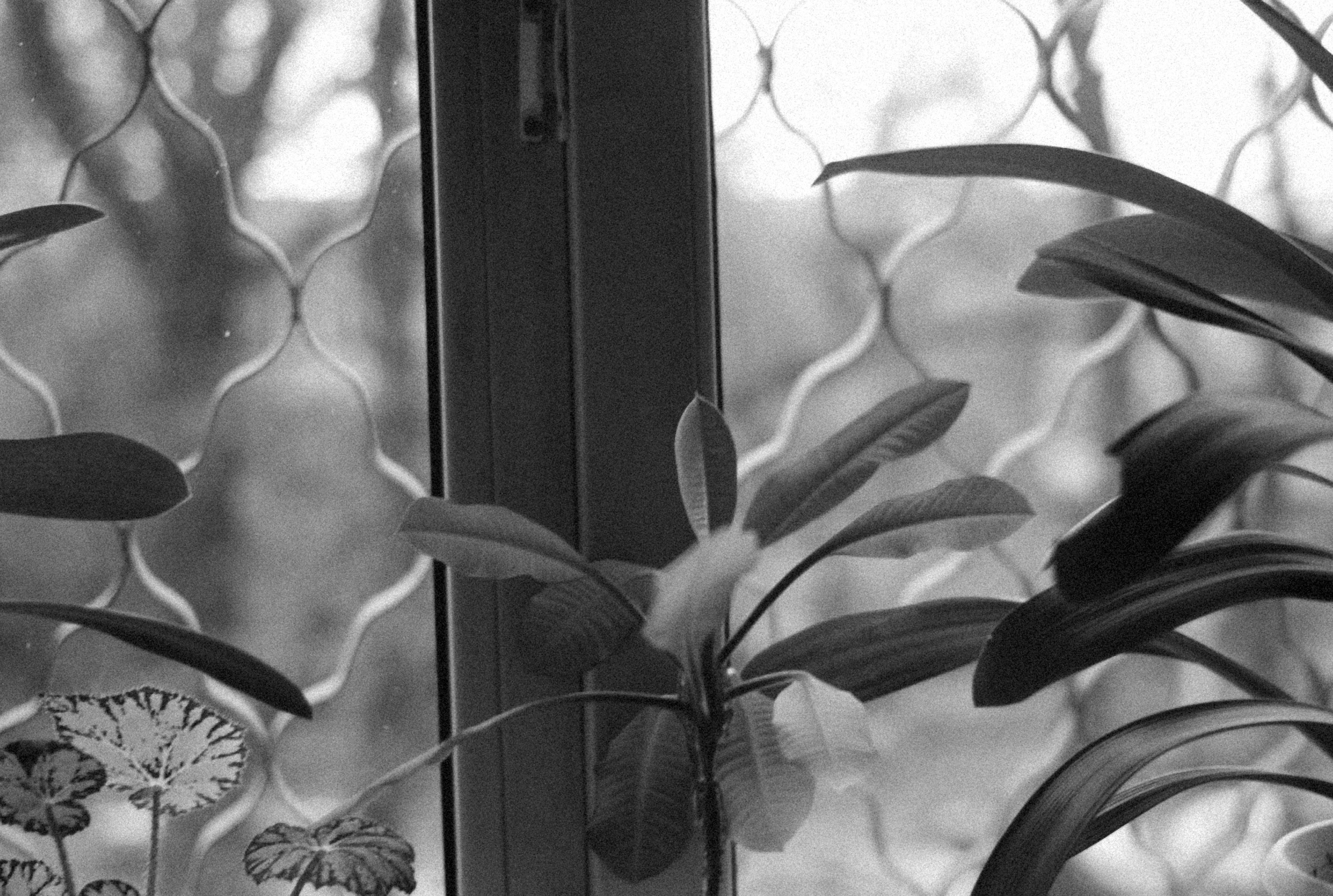 Photo by alexeydemidov