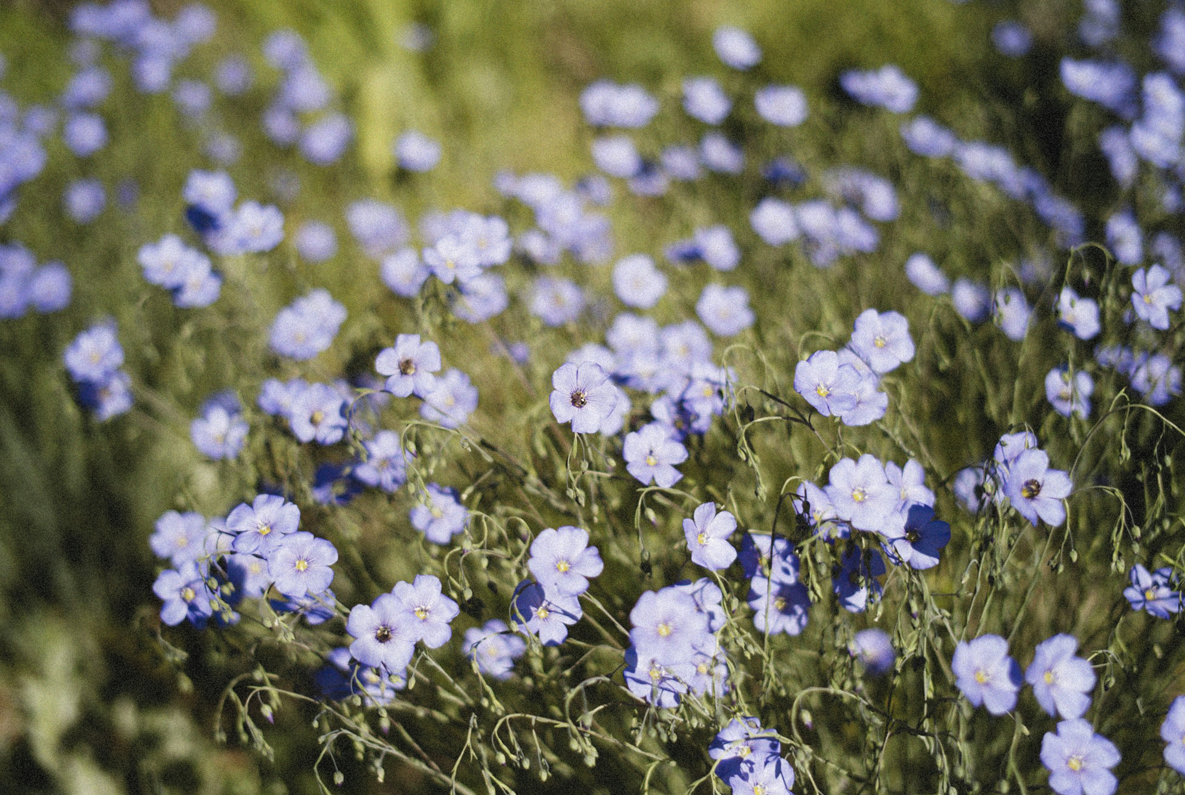 Photo by alexeydemidov