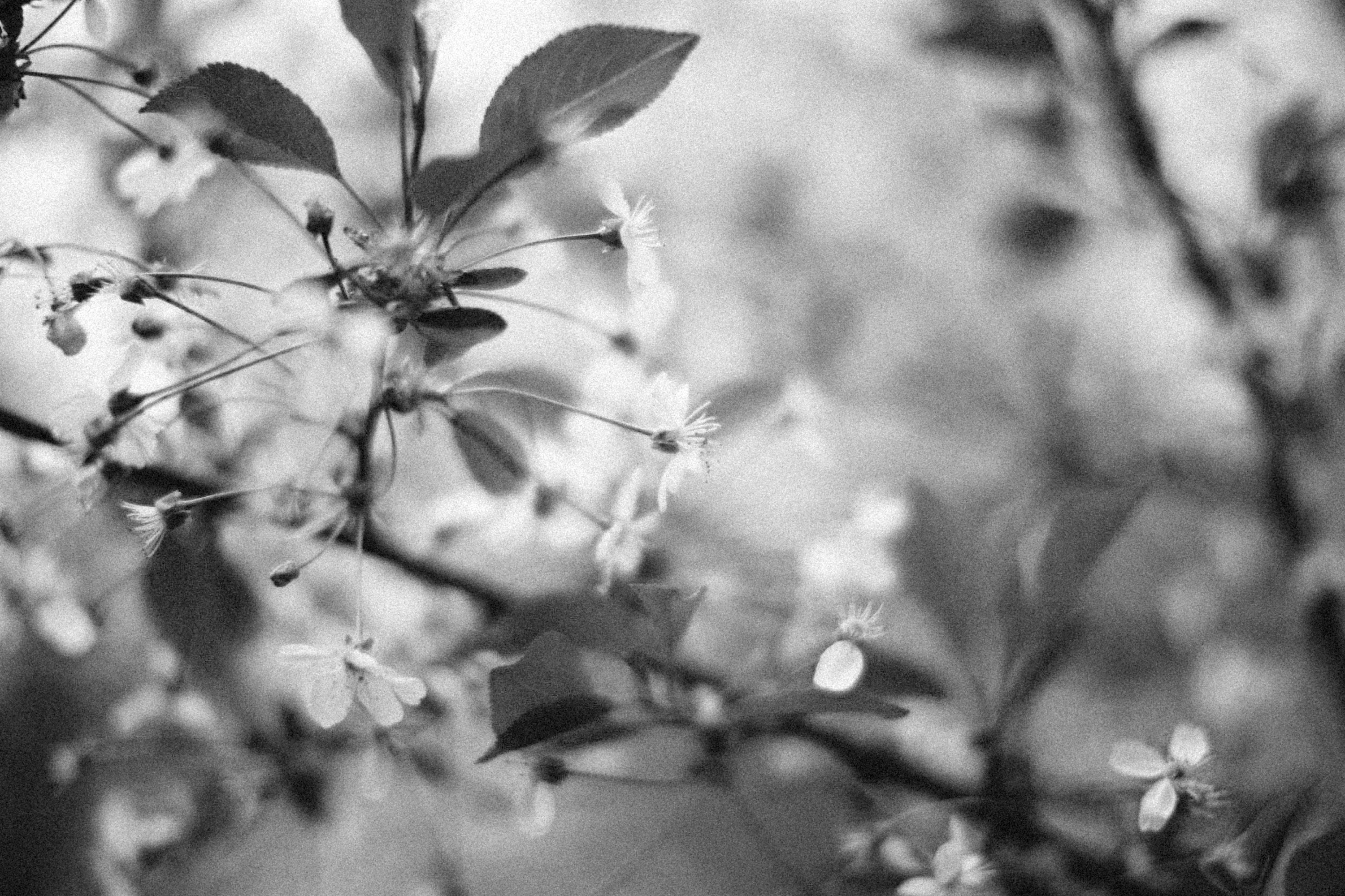 Photo by alexeydemidov