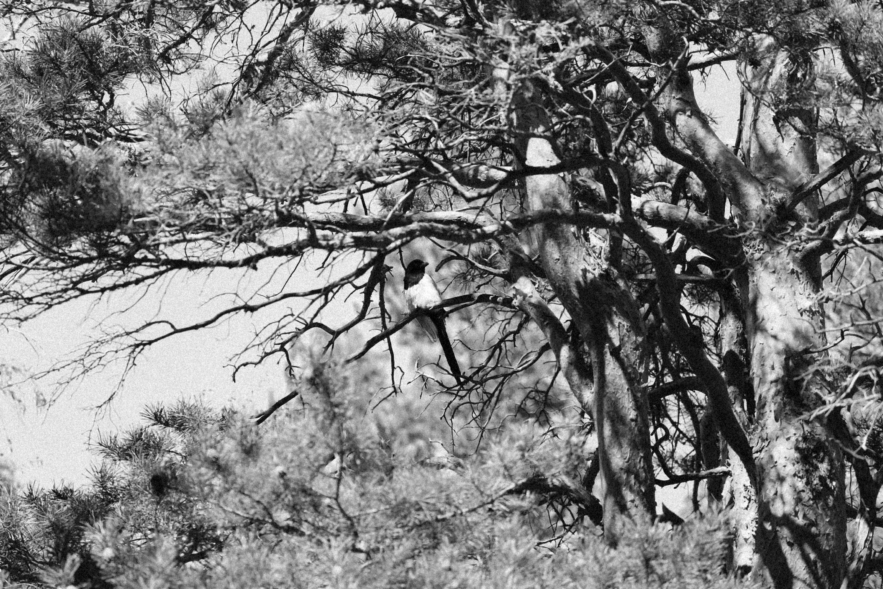 Photo by alexeydemidov