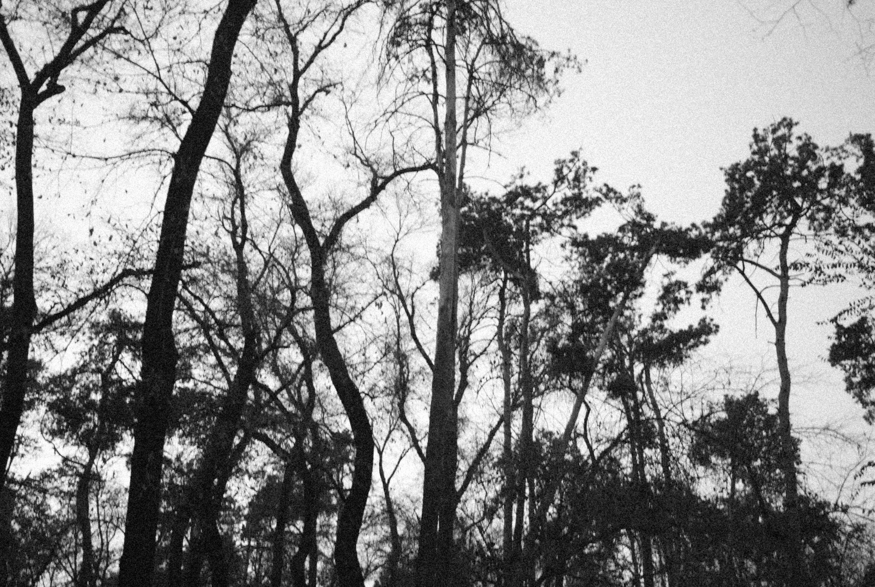 Photo by alexeydemidov