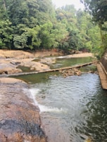 A tranquil river flowing through a natural reserve.