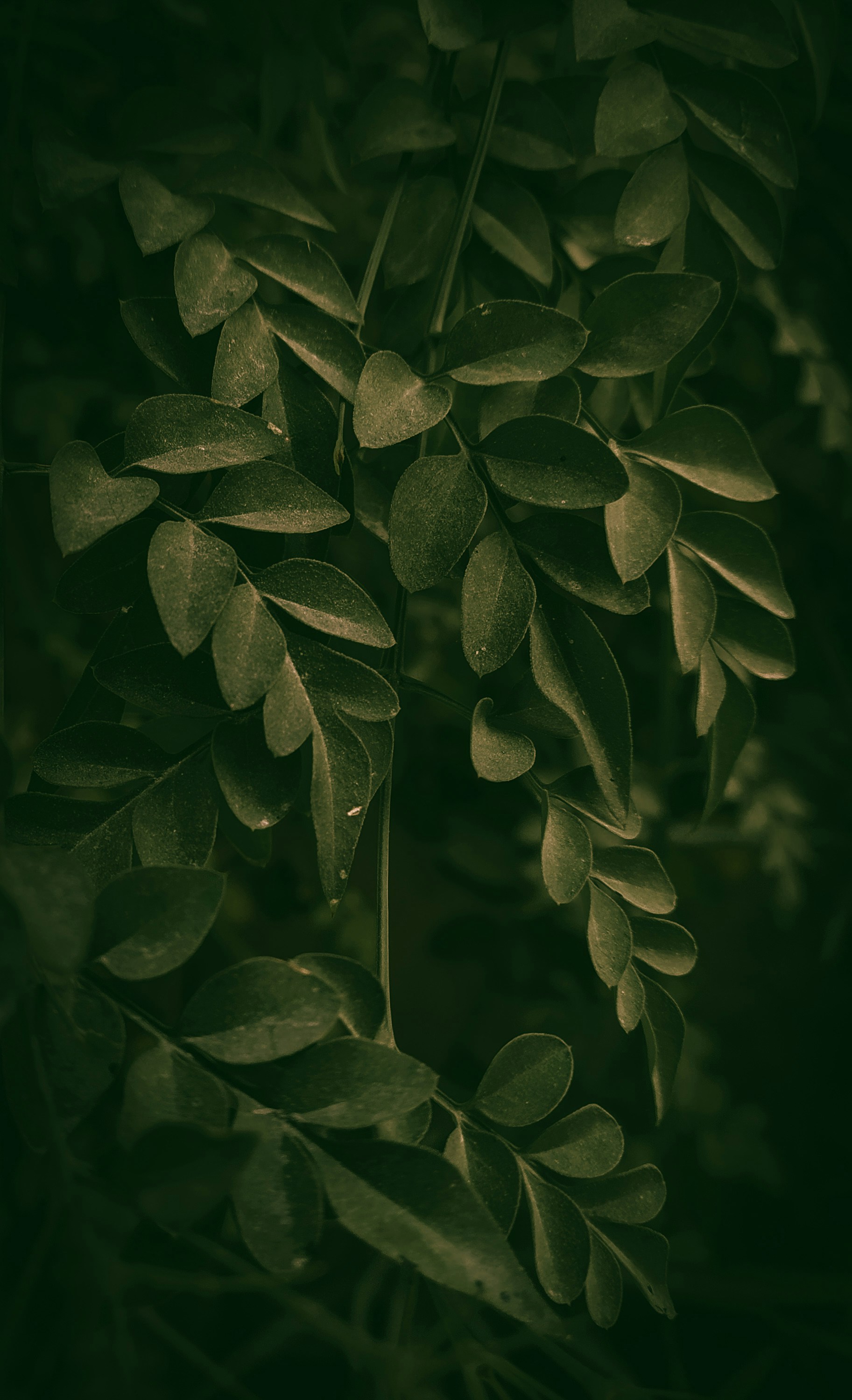 Photo by theclickfilms