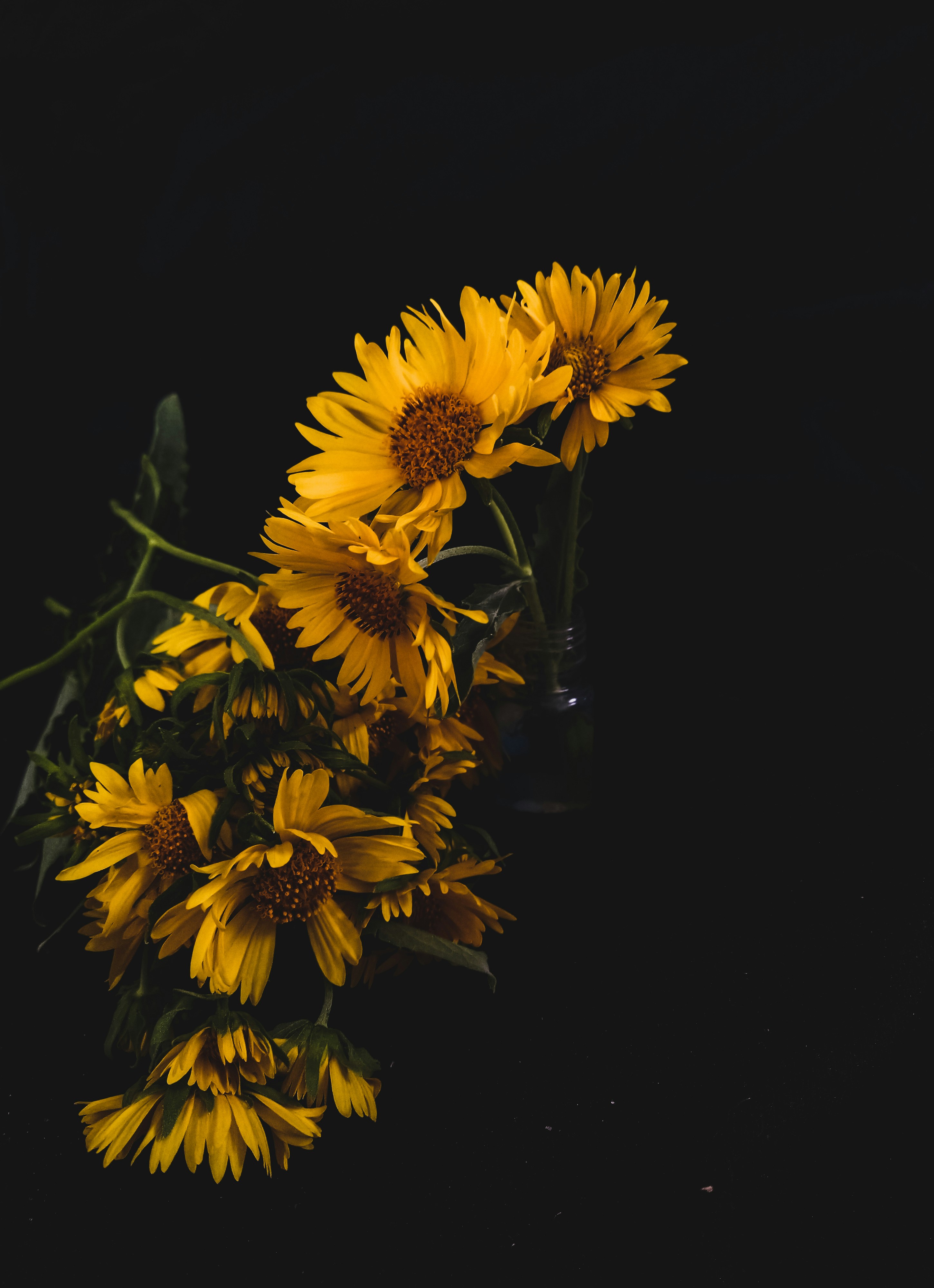 Photo by theclickfilms