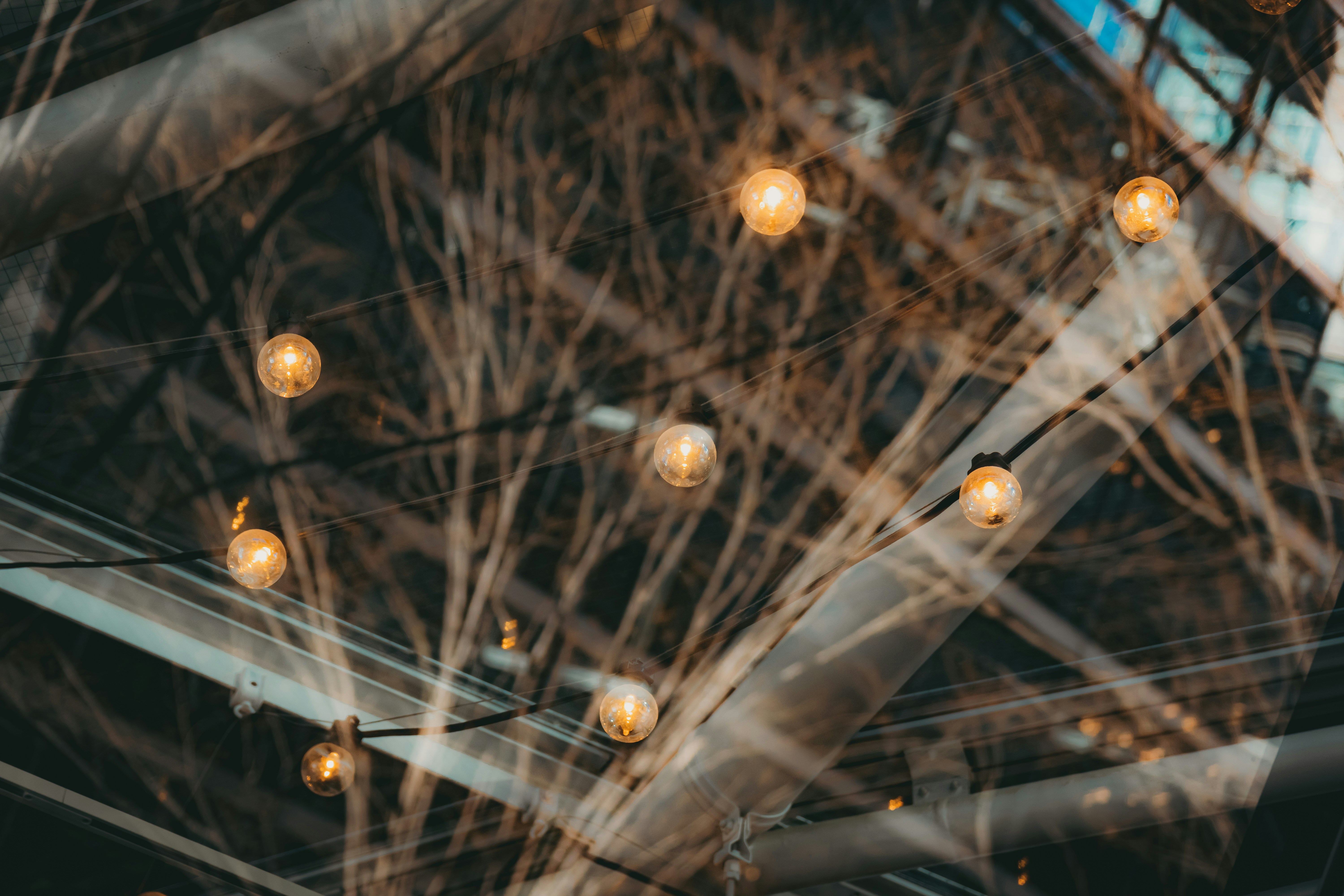 photo-1647400994138-ca74606504ad?crop=en