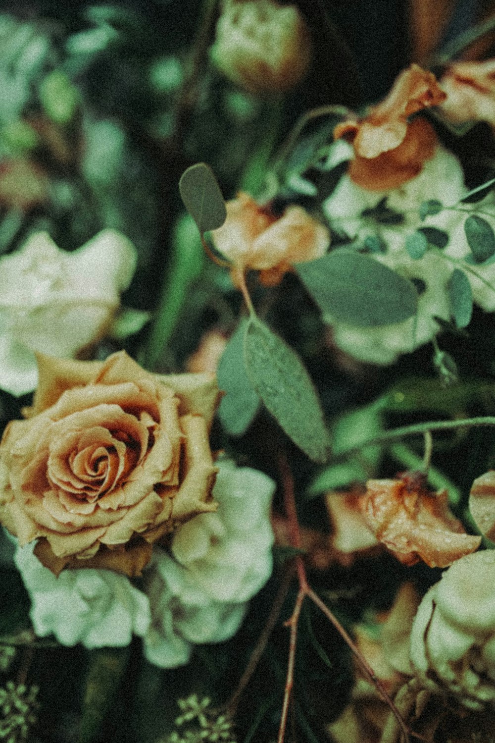 a close up of a bunch of flowers