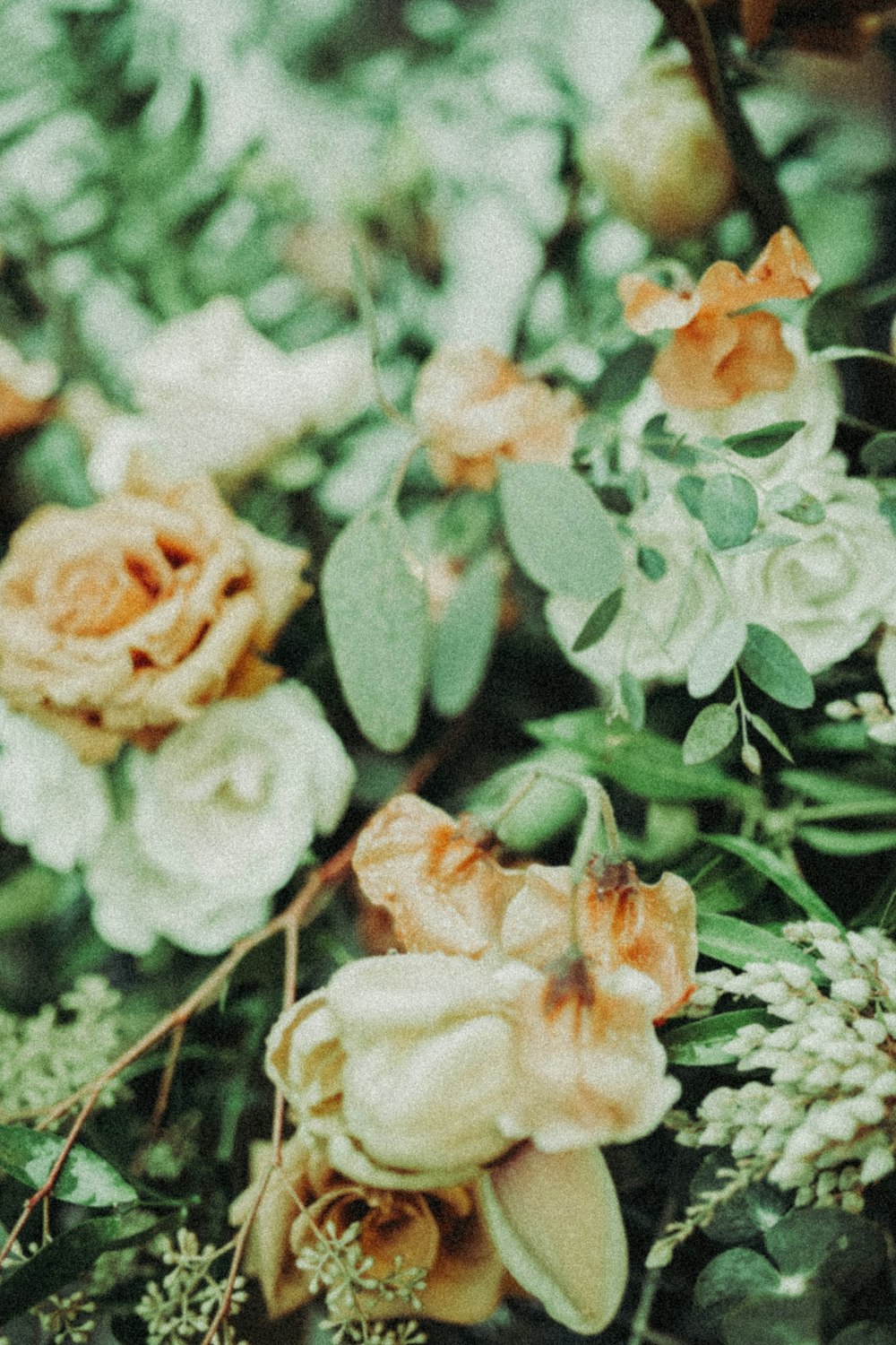 a bunch of flowers that are in the grass