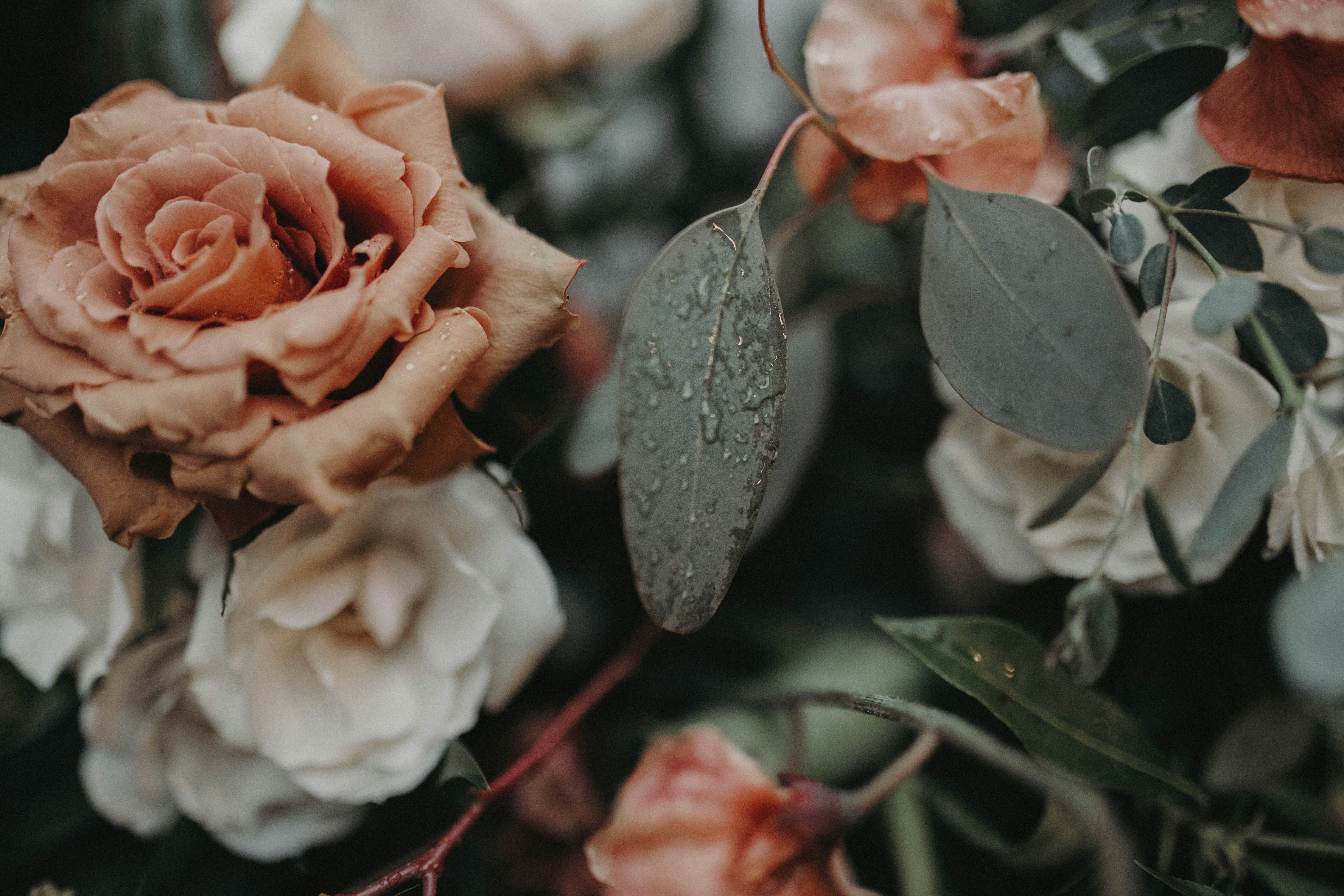 Photo by captured_photography