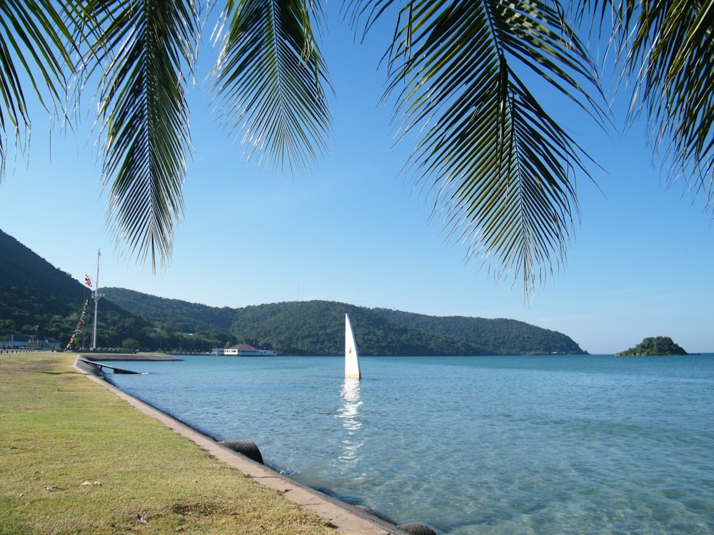 a sailboat in a body of water with a mountain in the background