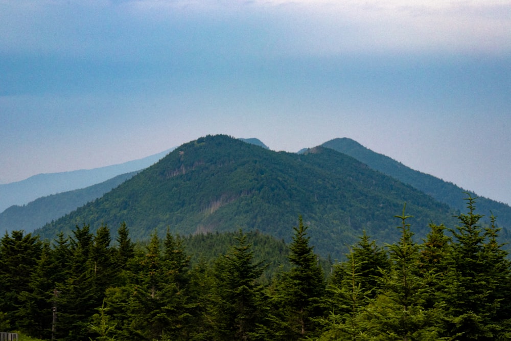 a view of a mountain with trees in the foreground