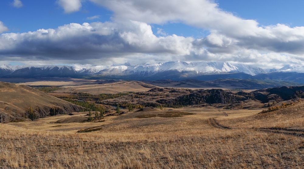 a grassy field with mountains in the background