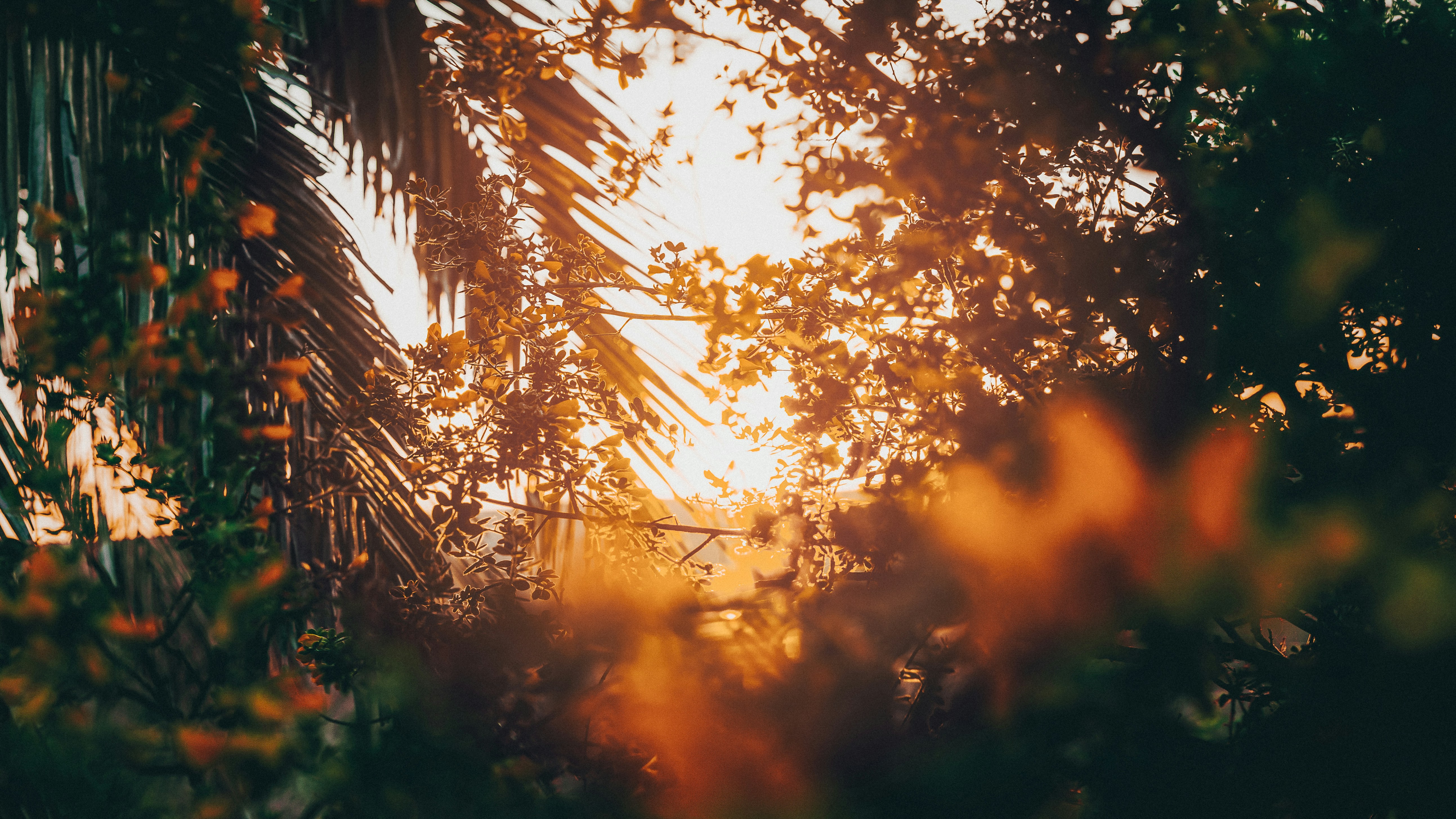 Photo by kalaniparker