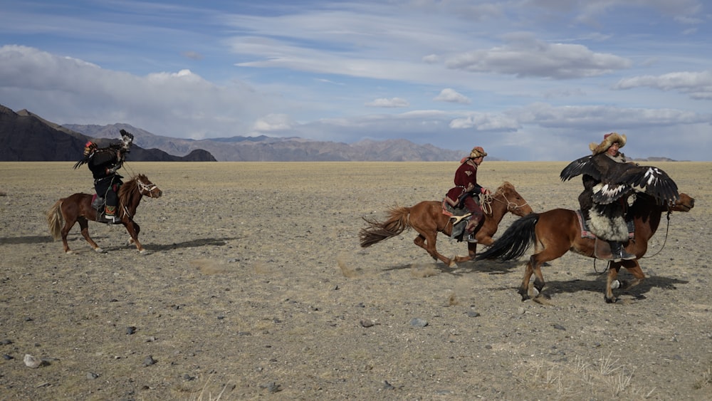 a group of people riding on the backs of horses