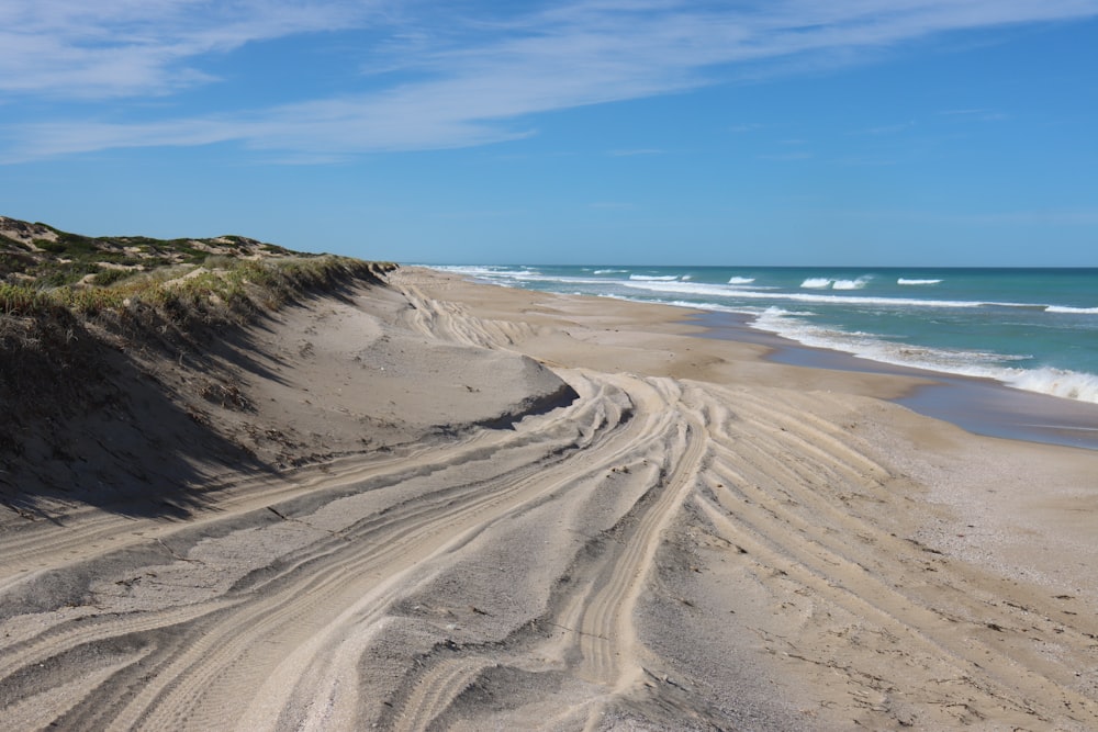 a sandy beach next to the ocean under a blue sky